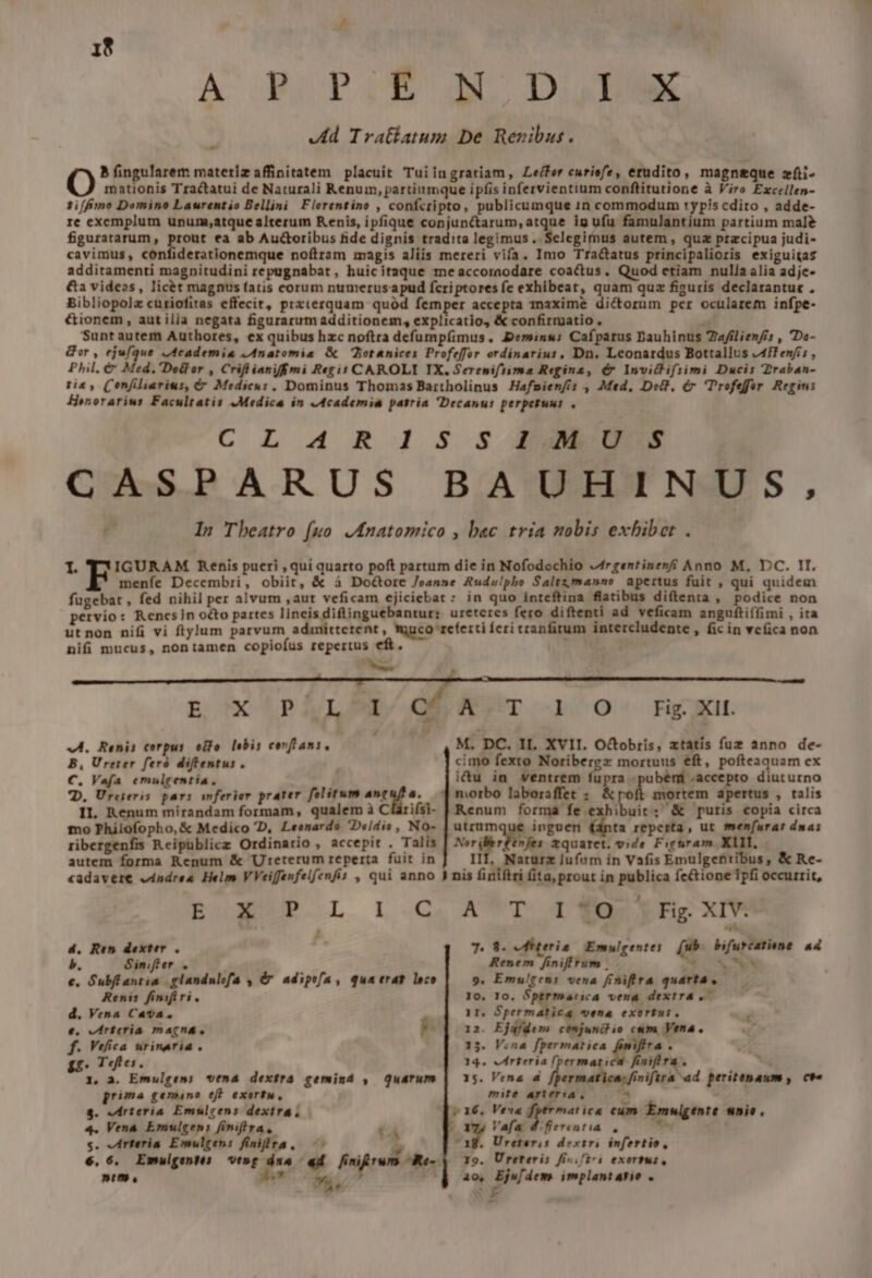 À E PIE BL DM d Trattatum De Rezibus. B fingularem materiz affinitatem placuit Tuiingratiam, Leffer curiefe, erudito, magneque zfti- OÓ mationis Tractatui de Naturali Renum, partiumque ipfis infervientium conftitutione à Viro Excellen- ti (fimo Domino Laurentio Bellini Flerentino , confcripto, publicumque 1n commodum typis cdito , adde- re excmplum unum,atque alterum Renis, ipfique conjunctarum,atque ig ufu famulantium partium mal figuratarum , in ea ab Auctoribus fide dignis tradita legimus. Selegimus autem, quz pracipua judi- cavimus, confiderationemque noftram magis aliis mereri vifa. Inro Tractatus principalioris exiguitas additamenti magnitudini repugnabat, huicitaque tmneaccoraodare coactus. Quod etiam nulla alia adje- &amp;a videos, licet magnus fatis corum numeruszapud fcri ptores fe exhibeat, quam quz figuris declarantue . Bibliopolz curiofitas effecit, prxterquam quód femper accepta maxime dictorum per ocularem infpe- €&amp;ionem, autilia negata figurarum additionem, explicatio, &amp; confirmatio .  Suntautem Authores, ex quibus hzc noftra defumpíimus. eminu: Cafpatus Dauhinus Zafilienfis , Da- or , ejufque vtcademia Anatomie &amp; Totanices Profeffor ordinarius, Dn. Leonardus Bottallus Aff en/is , Phil, &amp; Med, Dedlor , Criflianiff mi Regit CAROLI IX, Sereniftima Regina, ér Inviclifsimi Ducis raban- tie, Confiliarius, (6 Medicus. Dominus Thomas Bartholinus Hafpienfis , Med, Dell, (7 Profeffr Regin: Henorariws Facultatis Medica in /Academia patria Decanus perpetuus . CL 4 R 1S S ZEE GASPARUS BAUHINUS, In Tbeatro [uo Jnatomico , bac tria mobis exbibet . t IGURA M. Renis pueri , qui quarto poft partum die in Nofodochio «frgentinenff Anno M, DC. II. menfe Decembri, obiit, &amp; á Doctore Joanne Audelpho Saltzmann» apertus fuit , qui quidem fugebat , fed nihil per alvum ,aut veficam ejiciebat : in quo inteftina flatibus diftenta, podice non pervio: Rencsjn octo partes lineis diflinguebantur: uretcres fero di ftenti ad veficam anguftiffimi , ita utnon nifi vi ftylum parvum admitterent, muco referti feri tranfitum intercludente , fic in vcfica non nifi mucus, nontamen copiofus repertus eft. p CUP AIL c A.T 1 O RFigXIit. M. DC. II. XVII. Octobris, xtatis fuz anno de- cimo fexto Noribergz mortuus eft, pofteaquam ex itu in ventrem fs ra- bem -accepto diuturno morbo laboraffet : à; i. mortem apertus , talis 4A. Renis corpus. elo. lnbis covflani, B, Ureter feró difentus. €. Vafa emulgentia., TD. Urcieris. pars anferior prater folitum anceuff a. II. Renum mirandam formam, qualem à Clárifsi- | Renum forma fe exhibuit; &amp; puris copia circa mo Philofopho,&amp; Medico D, Leenardo 'Deldio , No- | utrumque inguen (dnta reperta, ut menfurar dnas ribergenfis Reipüblicz Ordinario , accepit . Talis | N i nfes zquaret. vide Firuram XIII, autem forma Renum &amp; Ureterum reperta fuit in HI, Naturz Jufum in Vafis Emulgentibus, &amp; Re- «adavere víndrea Helm VVeiffenfelfenfis , qui anno ) nis finiftri fita, prout in publica fectione ipfi occurrit, Box P L L.c,A*T pM Dy XxIw 7. 8. Mhterie Emulgentes (ub. bifurcatiune. ad Renem finiffrum , t$ 0v VN 9. Emu!tens vena finifira quarta, 4d, Rt» dexter b. Siniffer e. Gubffantia glandulofa , é&amp; adipyfa , quaerat loco Renis fimifiri, d. Vena Cata. e, virteria magna, í f. Vefica urinaria . gr. Teftes. 1, a. Emulgems venaà dextra gemind , quarum prima gemano eff exortu, 8. erteria Emulcens dextra, 4. Vena. Emulgen: finira, s. Arteria Emulgens finita, —- 6, 6. Emulgents — vt»g dna «4 nttu, M» 2 fnidrum Re. * Io, 1o. Spermatica vena dextra. — 1r, Spermatica vena exortut. 12. Ejgfdem cónjuncio cum Vena. 15. V.na fpermatica fimiftra . 14. eMrteria (permaticu finifira . T 15. Vena 4 fper niftra ad peritenaum , ct» mite arteria, 7 » 16, Vex« germ cum Emwigente wnie, Vafa dfiercentia , - 3g. Ureteris dextri infertio, 19. Ureteris fis ./tri exormat, ao, Ejw[dem implantarie . »3 -