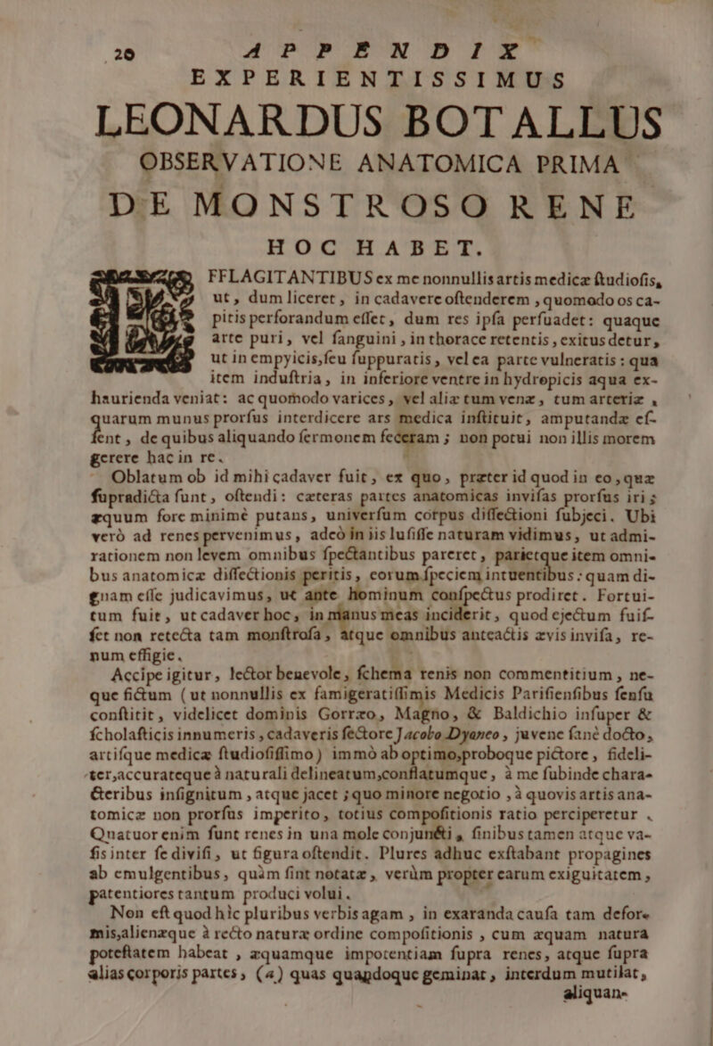 * E APPENDIX EXPERIENTISSIMUS LEONARDUS BOTALLUS OBSERVATIONE ANATOMICA PRIMA - DE MONSTROSO RENE HOC HABET. FFLAGITANTIBUS ex me nonnullisartis medicz ftudiofis, ut, dumliceret, in cadavercoftenderem , quomodo os ca- pitis perforandum effec, dum res ipfa perfuadet: quaque arte puri, vel fanguini , in thorace retentis , exicusdetur, ut in empyicis;feu fuppuratis , vel ea parte vulneratis : qua item induftria, in inferiore ventre in hydrepicis aqua ex- haurienda veniat: ac quomodo varices, velaliz tum venz , tumarteriz , uarum munus prorfus interdicere ars medica inftituit, amputandz cf- Bat ; dequibus aliquando fermonem feceram i non potui non illis morem gcrere hac in re. 1 Oblatum ob id mihicadaver fuit, ex quo, prater id quod in eo, quz fupradi&amp;a funt, oftendi: ceteras partes anatomicas invifas prorfus iri zquum forc minimé putans, univerfum corpus diffe&amp;ioni fubjeci. Ubi weró ad renes pervenimus , adcó in iis lufiffe naturam vidimus, ut admi- rationem non levem omnibus fpe&amp;antibus pareret, parietque item omni- bus anatomicz diffectionis peritis, corum fpeciem intuentibus : quam di- £nam cífe judicavimus, ut ante. hominum prodiret. Fortui- tum fuit, utcadaver hoc, 5^; HÀ tin inciderit, quod eje&amp;um fuif- fct non rete&amp;a tam monftrofa, atque omnibus antca&amp;is zvisinvifa, re- num effigie. Accipe igitur, le&amp;or benevole, fchema renis non commentitium , ne- que fi&amp;um (ut nonnullis ex famigerati(fimis Medicis Parifienfibus fenfu conftitit, videlicet dominis Gorrzo, Magno, &amp; Baldichio infuper &amp; fcholafticis innumeris , cadaveris fe&amp;orc J acobo Dyaneo , juvene fané docto, artifque medica ftudiofiffimo) immó ab optimo;proboque pi&amp;ore , fideli- &amp;er,accuratequeà naturali delineatum,conflatumque , à me fubinde chara- Geribus infignitum , atquc jacet ; quo minore negotio , à quovisartisana- tomicz non prorfus imperito, totius compofitionis ratio perciperetur . Qnatuor enim funt renes in una mole conjun&amp;i , finibus tamen atque va- fis inter fedivifi, ut figuraoftendit. Plures adhuc exftabant propagines ab cmulgentibus, quàm fint notatz , veràm propter carum exiguitatem , patentiores tantum produci volui . Non eft quod hic pluribus verbisagam , in exaranda caufa tam defor« mis,alienzque à recto natura ordine compofitionis , cum zquam natura poteftatem habeat , zquamque impotentiam fupra rencs, atque fupra aliascorporis partes ; (4) quas quapdoquc geminat , interdum mutilat aliquan-