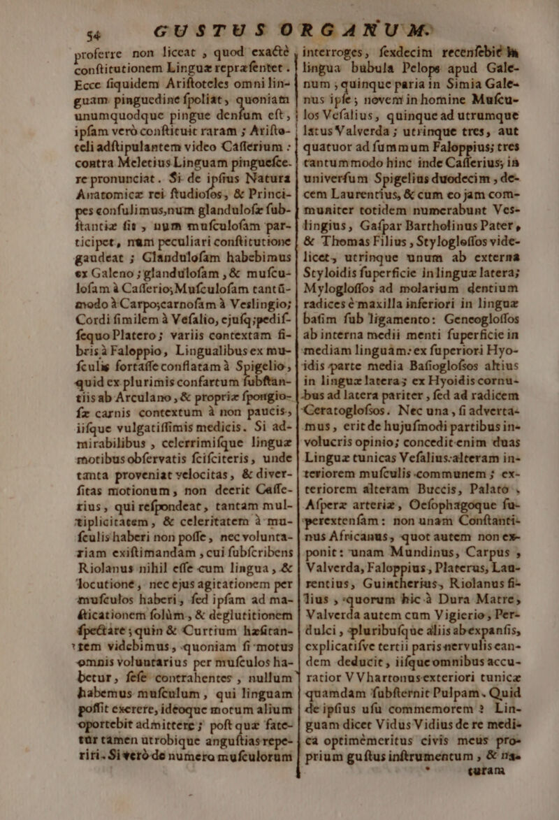 $4 proferre non liceat , quod 'exacté conftitutionem Linguz reprafentet . Eccc fiquidem Ariftoteles omni lin- guam. pinguedine fpoliat, quonia unumquodque pingue denfum eft, ipfam veró conftituit raram ; Arifto- teli adftipulantem video Cafferium : re pronunciat. $i de Pine Natura Anatomicz rei ftudiofos, &amp; Princi- pes confuJimus,num glandulofz fub- ftantiz fit , nur» mufculofam par- ticipet, mmi peculiari conftitutione gaudeat ; Glandulofam habebimus €x Galeno ; glandulofam , &amp; mufcu- lofam à Cafferio;Mufculofam tantü- todo à Carposcarnofam à Veslingio; Cordi fimilem à Vefalio, cjuíq;pedif- fequoPlatero; variis contextam fi- brisàFaleppio, Lingualibus ex mu- fculis fortaffe conflatam à Spigelio; quid cx plurimis confartum fubftan- tiisab Arculano,&amp; propriz fpongio- Ír carnis contextum à non paucis; iifque vulgatiffimis medicis. Si ad- mirabilibus , celerrimifque lingua motibus obfervatis fcifciteris, unde tanta proveniat velocitas, &amp; diver- fitas motionum non deerit Caffc- rius, qui refpondeat, tantam mul- tiplicitatem , &amp; celeritatem à-mu- fculis haberi non poffe, nec volunta- riam exiftimandam , cui fubfícribens Riolanus nihil effe cum lingua ,.&amp; locutione ,. nec ejus agitationem per mufculos haberi , fed ipfam ad ma- éticationem folüm., &amp; deglutitionem fpe&amp;are;quin &amp; Curtium hzfitan- :tem videbimus, quoniam fi motus mnis voluntarius per mufculos ha- betur, fefe contrahentes , nullum habemus mufculum , qui linguam poffit exerere, ideoque motum alium oportebit adinittere ; poft qua fate- tür tamen utrobique anguítiasrepe- riti. Sivetó de numera mufculorum interroges, fexdecim recenfebié A» lingua bübula Pelops apud Gale- num quinque paria in Simia Gale- nus ipfe; novem in homine Mufcu- los Vefalius, quinque ad utrumque latus Valverda ; utrinque tres, aut quatuor ad fummum Faloppius; tres tantummodo hinc inde Cafferius; in univerfum Spigelius duodecim , de- cem Laurentius, &amp; cum eo jam com- muhiter totidem numerabunt Ves- lingius, Gaípar Bartholinus Pater, &amp; Thomas Filius , Stylogleffos vide- licet, utrinque unum ab exterma Styloidis fuperficie inlinguz latera; Mylogloffos ad molarium dentium radices é maxilla inferiori in linguz bafim fub ligamento: Geneogloffos ab interna medii menti fuperficie in mediam linguam: ex fuperiori Hyo- idis parte media Bafioglofsos altius in linguz latera; ex Hyoidis cornu- bus ad latera pariter , fed ad radicem Ceratoglofsos. Nec una , fi adverta- mus, eritde hujufmodi partibus in- volucris opinio; conceditenim duas Linguz tunicas Vefalius:alteram in- teriorem mufculis.communem ; ex- teriorem alteram Buccis, Palato . Afperz arteriz, Oecíophagoque fu- erextenfam: non unam Conftanti- nus Africanus, quot autem non ex- ponit: unam Mundinus, Carpus , Valverda, Faloppius., Platerus, Laa- rentius, Guintherius, Riolanus fi- lius , quorum hic .à Dura Matre, Valverda autem cum Y igierio , Per- dulci , pluribufque aliis abexpanfis, cxplicatifve tertii parisnervulisean- dem deducit, iifque omnibus accu- ratior V Vhartonusexteriori tunicz quamdam fubfternit Pulpam. Quid de ipfius ufü commemorem ? Lin- guam dicet Vidus V idius de re medi- Cà optimémeritus civis meus pro- prium guftus inftrumentum , &amp; rms. , turam