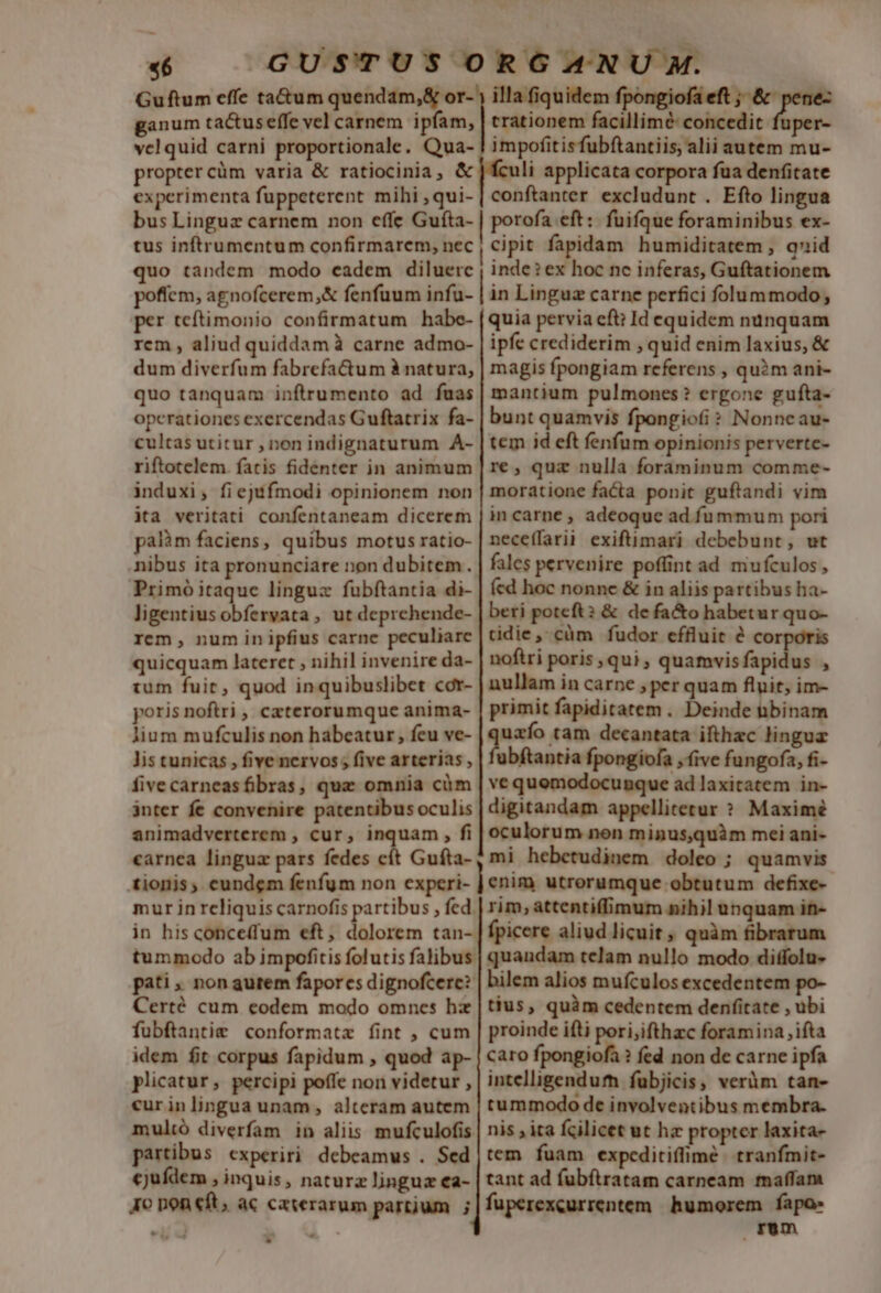 «6 GUSTUS ORG ZANU M. Gu ftum effe ta&amp;um quendam,&amp; or- ; illa fiquidem fpongiofa eft ;; &amp; pene- ganum tactuseffe vel carnem ipfam, | trationem facillimé: concedit fuper- velquid carni proportionale. Qua- ! impofitisfubftantiis; alii autem mu- propter cüm varia &amp; ratiocinia, &amp; | fculi applicata corpora fua denfitate experimenta fuppeterent mihi ,qui- | conftanter excludunt . Efto lingua bus Linguz carnem non effe Gufta- | porofa eft: fuifque foraminibus ex- tus inftrumentum confirmarem, nec; Cipit fapidam humiditatem , qnid quo tandem modo cadem diluere | inde? ex hoc nc inferas, Guftationem poffcm, agnofcerem,&amp; fenfuum infu- | in Linguz carne perfici folummodo per teftimonio confirmatum habe- (quia pervia efti Id equidem nunquam rem , aliud quiddam à carne admo- ipfe crediderim , quid enim laxius, &amp; dum diverfum fabrefa&amp;um à natura, | magis fpongiam referens , quàm ani- quo tanquam inftrumento ad fuas | mantium pulmones? ergone gufta- operationes exercendas Guftatrix fa- | bunt quamvis fpongiofi ? Nonncau- cultas utitur , non indignaturum A- | tem id eft fenfum opinionis perverte- riftotelem. fatis fidenter in animum | re; quz nulla foraminum comme- induxi; fiejtfmodi opinionem non | moratione facta ponit guftandi vim ita veritati confentaneam dicerem | in carne , adeoque ad fummum pori palàm faciens, quibus motus ratio- | neceffarii. exiftimari debebunt, ut nibus ita pronunciare non dubitem. | fales pervenire poffint ad mufculos, Primóitaque linguz fubftantia di- | (ed hoc nonne &amp; in aliis partibus ha- ligentiusobfervata , ut deprchende- | beri poteft: &amp; de fa&amp;o habetur quo- rem, num inipfius carne peculiare tidie ,- cüm fudor effluit é corporis quicquam lateret , nihil invenire da- noftri poris ,qui , quamvisfapidus , tum fuit, quod inquibuslibet cor- nullam in carne ; per quam fluit, im- poris noftri , caterorumque anima- | primit fapiditatem . Deinde nbinam lium mufculis non habeatur, feu ve- queo tam decantata ifthzc linguz Jis tunicas , five nervos ; five arterias , | fubftantia fpongiofa , ive fungofa, fi- fivecarneasfibras, quz omnia cüm | ve quomodocunque ad laxitatem in- inter fe convenire patentibus oculis | digitandam appellitetur ? Maximé animadverterem , cur, inquam, fi | oculorum non minus,quàm mei ani- carnea lingua pars fedes cít Guíta- , mi hebetudinem doleo ; quamvis tionis, eundem fenfum non experi- ] enim utrorumque obtutum defixe- mur in reliquis carnofis partibus , fed | rim, attentiffimum nihil unquam iti- in his conceffum eft, dolorem tan- | fpicere aliud licuit quàm fibrarum tummodo ab impofitis folutis falibus | quandam telam nullo modo diffolu- pati , non autem faporcs dignofcere? | bilem alios mufculos excedentem po- Certé cum eodem modo omnes hz | tius, quàm cedentem denfitate , ubi fubftantie conformatz fint , cum | proinde iíti pori;ifthac foramina ifta idem fit corpus fapidum , quod ap- | caro fpongiofa ? fed non de carne ipfa plicatur, percipi poffe non videtur , | intelligendum fubjicis, veràm tan- cur inlingua unam , alteram autem | tummodo de involventibus membra. multó diverfam in aliis mufculofis | nis ; ita fcilicet ut hz propter laxita- partibus experiri debeamus . Sed|tem fuam expeditiffimé. tranfmit- cjufdem , inquis, naturz linguz ea- | tant ad fubftiratam carneam maffam Jo pon eft, ac caterarum partjum ;|füperexcurrentem. humorem fapo: ebd à - rem