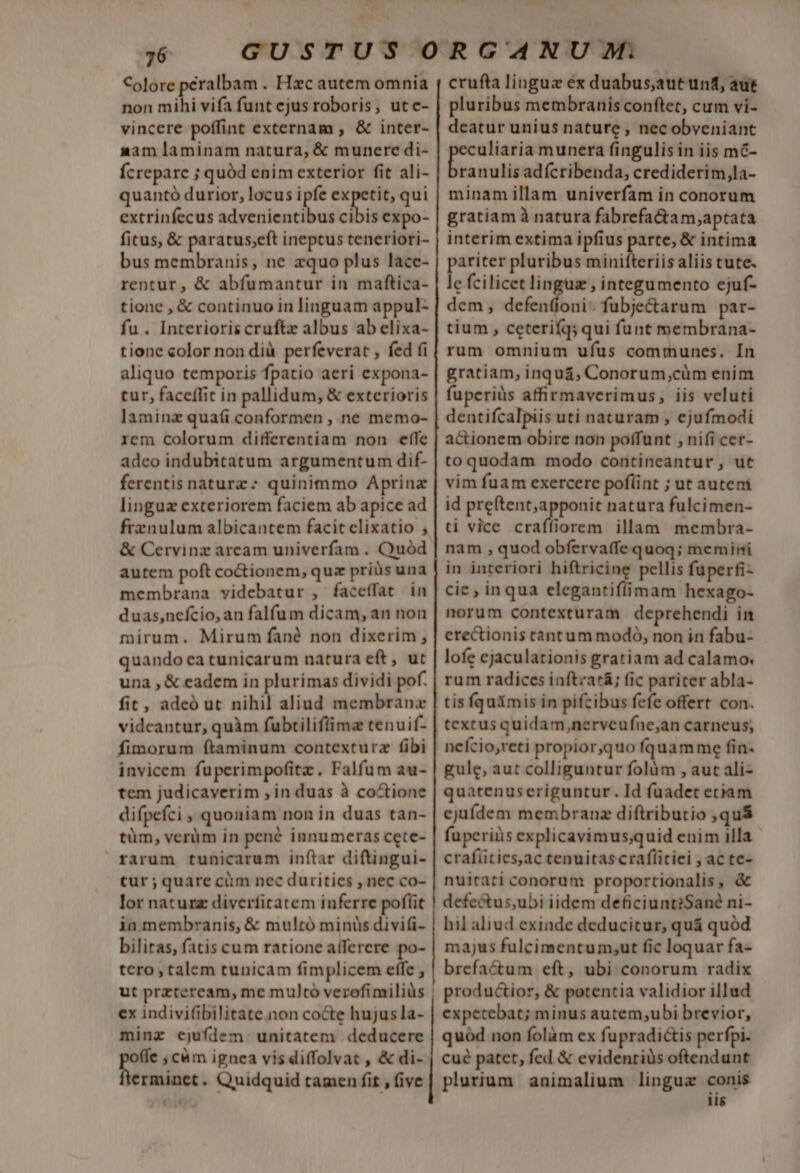 ^w P » 76 Colore peralbam . Hzc autem omnia non mihi vifa funt ejus roboris, ute- vincere poffint externam , &amp; inter- nam laminam natura, &amp; munere di- Ícrepare ; quód enim exterior fit ali- quantó durior, locus hv expetit, qui extrinfecus advenientibus cibis expo- fitus, &amp; paratus;eft ineptus teneriori- bus membranis, ne zquo plus lace- rentur, &amp; abfumantur in maftica- tione , &amp; continuo in linguam appul- fu. Interioris cruftz albus ab elixa- tione color non dià perfeverat , fed (i aliquo temporis fpatio aeri expona- tur, faceffit in pallidum, &amp; exterioris laminz qua(i conformen , ne memo- rem colorum differentiam non effe adeo indubitatum argumentum dif- ferentis naturz; quinimmo Aprinz linguz exteriorem faciem ab apice ad frznulum albicantem facit elixatio ; &amp; Cervinz aream univerfam . Quód autem poft co&amp;iionem, quz priüs una membrana videbatur , faceffat in duas,nefcio, an falfum dicam, an non mirum. Mirum fané non dixerim , quando ea tunicarum natura eft, ut una , &amp; eadem in plurimas dividi pof. fit, adeó ut nihil aliud membranx videantur, quàm fubtilifiima tenuif- fimorum ftaminum contexturz fibi invicem fuperimpofitz. Falfum au- tem judicaverim , in duas à co&amp;tione difpefci , quoniam non in duas tan- tüm, verüm in pené innumeras cete- rarum tunicarum inf(tar diftingui- tur; quare cüm nec duritics , nec co- lor naturz diverfitatem inferre poflit ia membranis, &amp; multró minüs divifi- bilitas, fatis cum ratione aíferere po- tero talem tunicam fimplicem effe , ut przteream, me multó verofimiliüs ex indivi(ibilitate.non co&amp;te hujus la- minz ejuflem unitatem deducere rminet. Quidquid tamen fit , (ive crufta linguz éx duabus,aut unt, aut pluribus membranis conftet, cum vi- deatur unius nature , nec obveniant memi munera fingulis in iis mC- ranulis adícribenda, crediderim,la- minamillam univerfam in conorum gratiam à natura fabrefa&amp;am,aptata interim extima ipfius mae &amp; intima pariter pluribus minifteriis aliis tute- le fcilicet linguz ; integumento ejuf- dem, defenfioni- fubje&amp;arum par- tium , ceterifq; qui funt membrana- rum omnium ufus communes. In gratiam, inquá; Conorum,cüm enim fuperiüs affirmaverimus, iis veluti dentifcalpiis uti naturam , ejufmodi actionem obire non poffunt , nifi cer- toquodam modo contineantur, ut vim fuam exercere poflint ; ut auteni id preftent;apponit natura fulcimen- ti vice craffiorem illam membra- nam , quod obfervaffe quoq; memini in interiori hiftricine pellis fuperfi- cie , inqua elegantiffimam hexago- morum contexturam deprehendi in erectionis tantum modo, non in fabu- lofe ejaculationis gratiam ad calamo. rum radices inftzatá; fic pariter abla- tis fquimis in pifcibus fefe offert con. textus quidam,nerveufne;an carneus; nefcio,reti propior,quo fquamme fin. gule, aut colliguntur folüm , aut ali- quatenuseriguntur. Id fuadet etiam ejuídem membranz diftributio ,quá fuperiüs explicavimus;quid enim illa crafüties,ac tenuitascraflitiei , ac tc- nuitati conorum proportionalis, &amp; defectus,ubi iidem deficiuntiSané ni- hil aliud exinde deducitur, quá quód majus fulcimentum,ut fic loquar fa- brefactum eft, ubi conorum radix productior, &amp; potentia validior illud expetebat; minus autem;ubi brevior, quód non folàm ex fupradictis perfpi. cué patet, fed &amp; evidenriàs oftendunt plurium animalium lingua conis iis