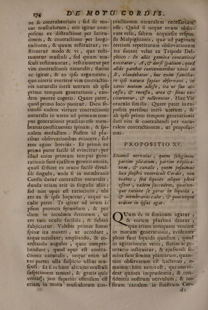 ne fe contrahentium ; fed fit mo-- tus mufculorum , erit igitur com- pofitus ex diftra&amp;ione per latitu- dinem , &amp; contractione per longi- tudinem , &amp; quum reftituitur, re- ftituetur modo &amp; vi , qua refti- tuuntur mufculi , fed quum :mu- fculi refticuuntur , reftituuntur per vim contractionis naturalis ; ftatim ac igitur, &amp; eo ipío argumento ; quo niteris evertere vim contractio- nis naturalis intrà uterum ab ipfo primo tempore generationis , ean- dem ponere cogeris. Quare patet, quod primo loco ponitur. Dico fe- cundó eadem virtute contractionis naturalis in utero ad primum tem- s generationis prxditas effe mem- anas conftituentes fpinam , &amp; fpi- nalem medullam . Poffem id plu- ribus obfervationibus evincere, fed rem agam breviàs- Et primó ex prima parte facilé id evincitur;per illud enim primum tempus gene- rationis funt ejufdem generis omnia; quafi fcilicet ex muco facilé divul- fili fingula, unde fi in membranis Cordis datur contractio naturalis ; danda etiam erit in fingulis aliis; fod non opus eft ratiociniis , ubi res ex fe ipfa loquitur, atque o- culis patet. Te igitur ad ovüm i- pfum provoco fecundum , &amp; per diem in incubatu detentum , ut res tuis oculis faciliàs , &amp; fubitó fubjiciatur. Videbis primas lineas fpinz ita moveri , ut accedant , atque recedant; ampliando, &amp; co- arctando angulos , quos comprc- hendunt; quod opus cít contra- Ctionis naturalis , neque enim ad cas partes ulla fufpicio ullius mu- fcali. Etfi in hanc alicujus mufculi fufpicionem temeré , &amp; gratis quis veniat; jam fuperiüs oftenfum eft etiam in motu mufculorum «on- V X tracionem naturalem neceffariani^ effe. Quód fi neque ovum obfer-: vare velis, faltem acquiefce refpon- fis Malpighianis, quz ad paginam. tertiam repetitarum obfervationum ita fonant velut ex Tripode Del- phico : Z7» AA: gemina concavitas excitatur , 24, dorff (patium , quod Alids patebat convenientibus zonis im. B , claudebatur , boc enim familia- ve ipfi natur&amp; faepius obfervavi , in xomis motum adeffe, ita ut [uo ac- ceffu , C receffu, area C fmnus ex- citarentur , C tollerentur. Hzc Vir oraculo fimilis. Quare patet inex- pofitis partibus intrà uterum , &amp; ab ipfo primo tempore generationis dari vim fe contrahendi per natu- ralem contra&amp;ionem ut propofui- mus. PROPOSITIO XV. Etiam; mervulus , quem felegimus partim. plicatum , partim. explica- tum , C canalis , quem po[uimus loco frniffri ventriculi Cordis, non inahes , fed liquido aliquo plem effent , eadem fuccedent, guacun- que ratione fe gerat in liquida , (CX onmembranas calor , C quocunque ordine im ipfas agat. Uum dc re feminum agatur , &amp; corum plurima dentur , uz ctiam antequam veniant in motum generationis, evidenter plena funt liquido quodam , quod in agitationem venic, ftatim ac ge- neratio inftiruitur, &amp; ejufmodi fe- - mina funt femina plantarum, quan- tüm obfervatum cft ha&amp;enus, o- mniüm: hinc nemo cft , qui non vi- deat quanta imprudentia , &amp; con- fidentia noftrum nervulum, &amp; no- firum canalem in — S