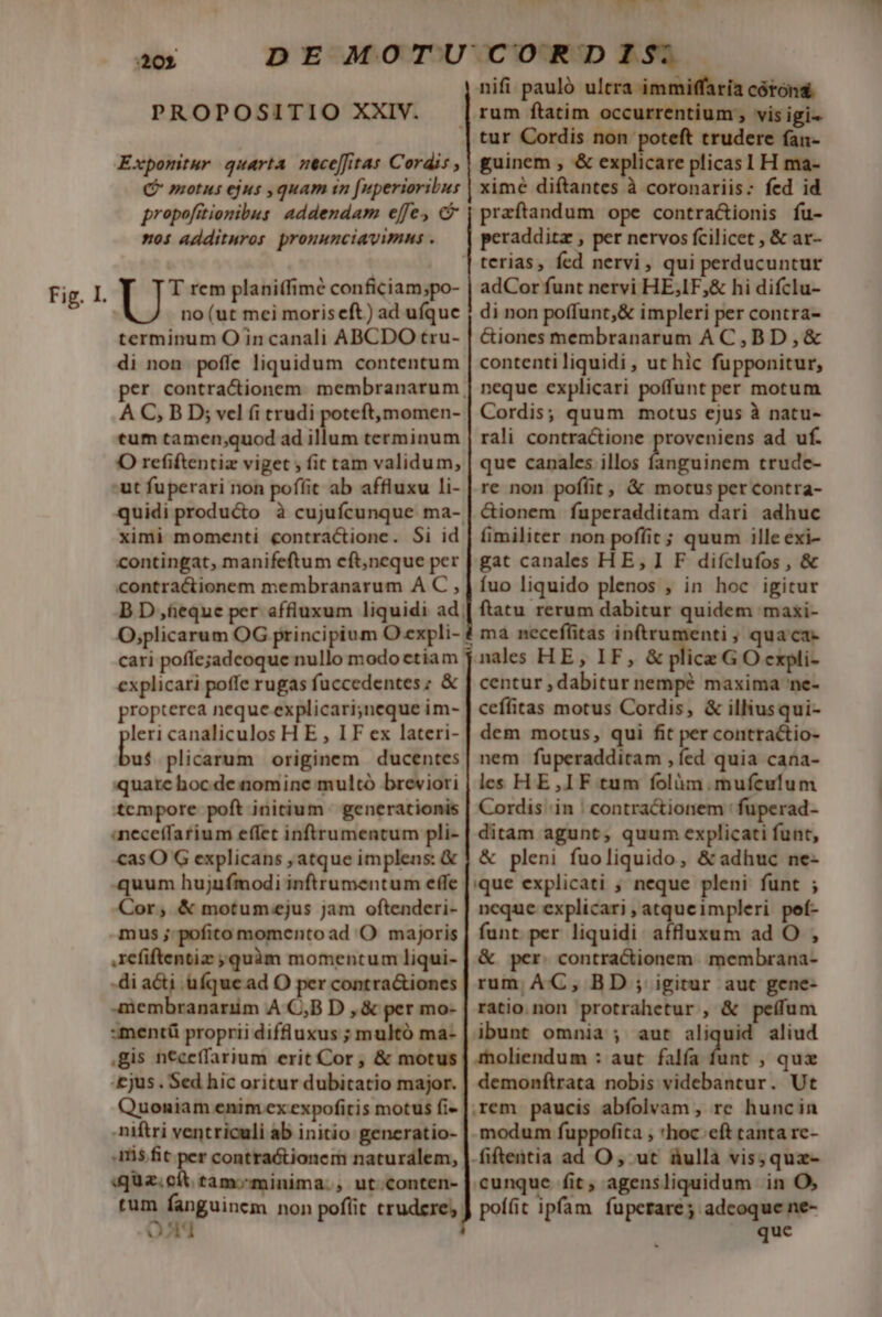 :202 PROPOSITIO XXIV. Em X nifi pauló ultra immiffaria córónd. rum ftatim occurrentium , vis igi- Qj motus ejus ,quam im fuperioribus propofitionibus addendam effe, c nos addituros. pronunciavimns . no (ut mei moriseft) ad ufque terminum O in canali ABCDO tru- di non poffe liquidum contentum À C, B D; vel (i trudi poteft,momen- tum tamen;quod ad illum terminum ut fuperari non poffit ab affluxu li- quidi producto à cujufcunque ma- ximi momenti contractione. Si id contingat, manifeftum cft,ncque per ximé diftantes à coronariis: fed id przftandum ope contra&amp;ionis fu- peradditz , per nervos fcilicet , &amp; ar- adCor funt nervi HE,IF,&amp; hi difclu- di non poffunt,&amp; impleri per contra- &amp;iones membranarum A C,BD,&amp; contenti liquidi , ut hic fupponitur, neque explicari poffunt per motum Cordis; quum motus ejus à natu- rali contractione proveniens ad uf. / hib m trude- re non poffit, &amp; motus per contra- fimiliter non poflit ; quum ille exi- gat canales HE, I F diíclufos , &amp; contractionem membranarum A C , | fuo liquido plenos , in hoc igitur B D ,tieque per affluxum liquidi ad | ftatu rerum dabitur quidem maxi- O,plicarum OG principium O expli- i ma neceftitas in(trumenti , qua ca- cari poffe;jadcoque nullo modoctiam $.nales HE, IF, &amp; plicz G O expli- explicari poffe rugas fuccedentes; &amp; | centur , dabitur nempé maxima ne- propterea neque explicari;neque im- | ceffitas motus Cordis, &amp; illiusqui- leri canaliculos H E , IF ex lateri- | dem motus, qui fit per contra&amp;io- but plicarum originem ducentes| nem fuperadditam , fed quia cana- quate boc de nomine multó breviori | les HE ,IF tum folàm.mufculum tcmpore poft initium. generationis | Cordis .in ! contractionem ' fuperad- aneceffarium effet inftrumentum pli- | ditam agunt, quum explicati funt, casO G explicans , atque implens: &amp; | &amp; pleni fuo liquido, &amp; adhuc ne- quum hujufmodi inftrumentum effe ||que explicati ; neque pleni funt ; Cor, &amp; motum;ejus jam oftenderi- | ncque explicari , atqueimpleri peí- mus ;: pofito momento ad O majoris| funt per liquidi. affluxum ad O , refiftentiz quàm momentum liqui-| &amp; per. contractionem :membrana- -di ati. üfquead O per contra&amp;iones | rum; AC, BD ; igirur aut gene- 4membranariim A C,B D , &amp; per mo- | ratio.non protrahetur , &amp; pefum smentü proprii difuxus ; multó ma- | ibunt omnia ; aut aliquid aliud gis n€ceffarium erit Cor, &amp; motus | rholiendum : aut. falía din: ; quz -£jus . Sed hic oritur dubitatio major. | demonftrata nobis videbantur. Ut Quoniam enimexexpofitis motus fi- |. rem. paucis abfolvam , re huncin niftri ventriculi ab initio generatio- | modum fuppofita 'hoc. eft canta re- I$ fit per contrationem naturalem, | fiftentia ad O , ut áullà vis; quz- «qua. cit tamominima., ut.conten- | cunque fit, agensliquidum in O, à fanguinem non pofüit trudere; J poíüt ipfam fuperare; adcoquene- OA que