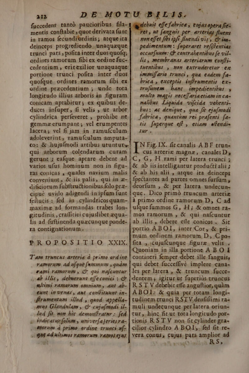 fuccedens tantó paucioribus. fila- mentis conftabit ; quot derivata funt in ramos fecundi'ordinis; atque ita deinceps progrediendo unaquaque trunci pars , pofita inter duos quofq; ordines ramorum fibi ex ordine fuc- cedentium , eritexilior unaquaque: portione trunci pofita inter duos ordine. prazcedentium ; unde tota longitudo illius arboris in figuram. conicam aptabitur; ex quibus de- duces infuper, fi velis ; ut arbor gemmz erumpant ; vcl erumpentes lacera; vel fi jam in ramufculum adoleverint, ramufculum amputa- €o: &amp; hujufmodi artibus utuntur qui arborum .colendarum curam gerunt ; eafquce. aptare debent ad varios ufus hominum non in figu- ras conicas , quales navium malis conveniunt, &amp; iis palis, qui in z- dificiorum fubftru&amp;ionibus folo prz- cipué uvido adigendi in ipfum funt fcitucis : fed. in .cylindricos quam- maxima ad. formandas. trabes lon- gicudinis , craífitiei cujuslibet zqua- lis ad fuftinenda quacunque ponde- ra contignationum. PROPOSITIO XXIX. T am truncus arteria à primo ordine ramorum ad u[que [nmmum ,quàm rami ramorum , C qii najcuntur db illis , debuerunt effecomei ; stimi vamerum omninm , ant ab- ennt in venas , ant. conllituunt in- aférumentum illud ,. quod. appella- net Glandnlam , (C cujpu[modi il- Ind. fit, mom bic demonftratmr : fed zo 3ndicatur folum , umiver(a]eriesra- Morem d primo ordine trunci u[- . Qu Ad ultimos ramorum vamos eju et uit effe fabrica , ttjusopera fies . Wet , ut [anguis per. arteri ipee mon effet fibi ipff fluendi vis s. C ian- pedimentum : fuperaret vefffentias occur[num: Q contrabentibus fe vil- lis , membranas arteriarum conffi- tuentibut , mon. extruderetur - ex immiffario trunci , quà eadem fa- brica , exceptis. infirumentis ex- trufionem banc. impedientibus. , multo magis zecefJariaetiam in ca- nalibus j vifcida vebenti- bus: ^c denique , qua fit ejufmodi fabrica , quantum rei prafenti. fa- tis fuperque eff , etiam. ellendi» IuY. INFig.IX. fitcanalis ABF trun- L cus arteriz magnz, canales D, C,' G, H rami per latera trunci ; &amp; ab iisintelligantur produ&amp;i alii ; &amp; ab his alii , atque ita deinceps Ípectantes ad partes omnes furfum , deorfum , &amp; per latera. undecun- que. Dico primó truncum arteria à primo ordine ramorum. D, C ad A n fummos G, H ; &amp; omnes ra- mos ramorum , &amp; qui nafcuntur ab illis ,, debere eíle conicos . Sit portio. AB OI, inter 'Cor, &amp; pri- mum. ordinem ramorum D, C po fita ,.;cujufcunque figurz. velis. . Quoniam in illa portione A B O I contineri femper «debet ille fanguis; qui debet fucceffivé implere cana- les per latera , &amp; truncum fucce- dentem ; igitur ut fuperiüs truncus R. S T V debebit effe anguftior, quàm ABOI: &amp; quia per totam longi- tudinem trunci R ST V.denfiíiimi ra- muli: undecunque per latera. oriun- tur, hinc fit ut tota longitudo por- tionis RS T V non (it cylinder gra- cilior.cylindro A BOI,. fed fit re- vera conus, cujus pars amplior ad , n^ »