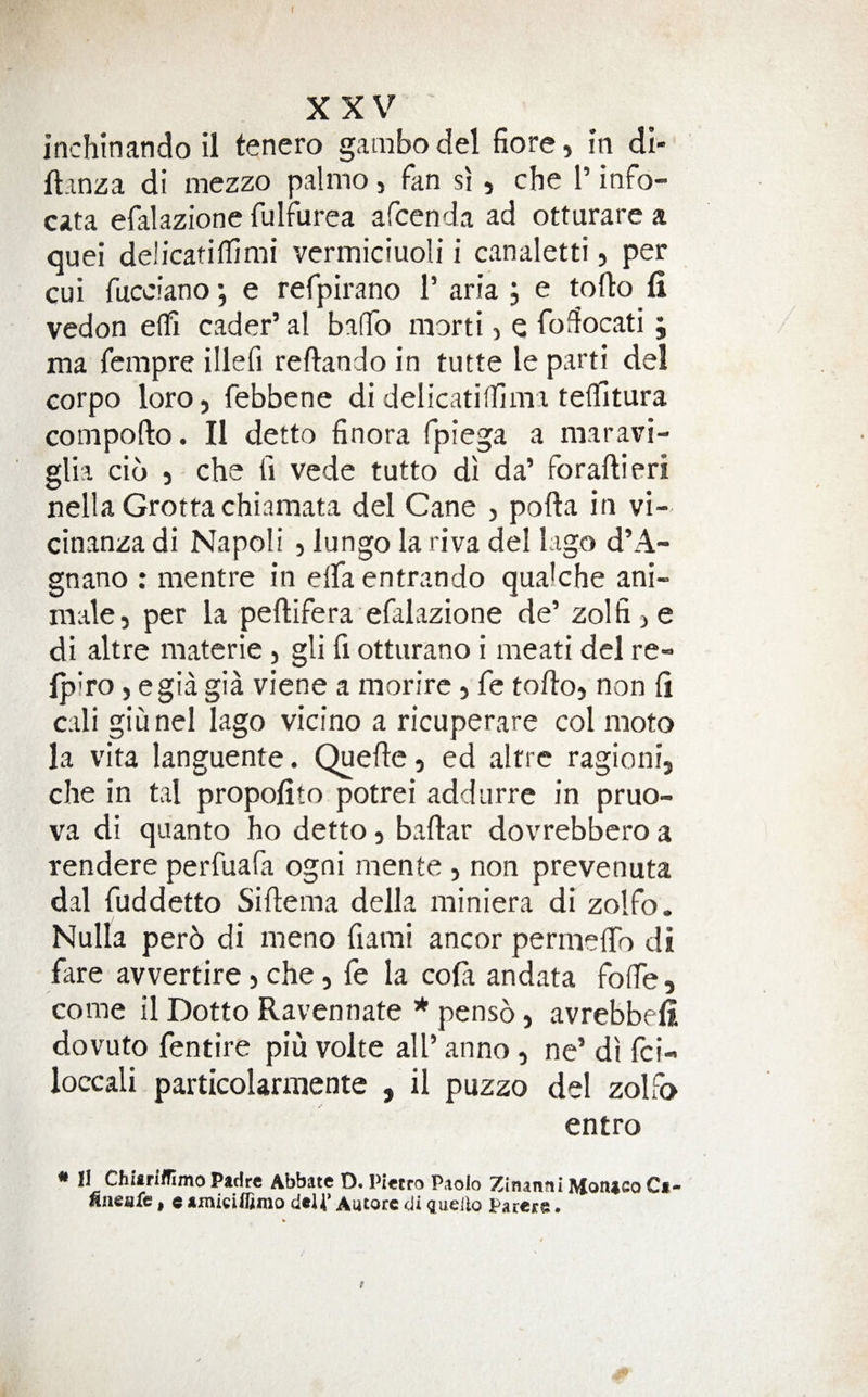 ( XXV inchinando il tenero gambodel fiore, in di- ftanza di mezzo palmo, fan si , che I’ info- cata efalazione fulfurea afcenda ad otturare a quei delicatifTimi vermiciuoli i canaletti, per cui fucciano *, e refpirano T aria ; e toflio fi vedon effi cader’al baffo morti, e fodocati ; ma fempre iliefi reftando in tutte le parti del corpo loro, febbene di delicatillima tellitura compofto. II detto finora fpiega a maravi- glia cib che ti vede tutto di da’ foraftieri nella Grottachiamata del Cane , pofta in vi- cinanza di Napoli , lungo la riva del lago d’A- gnano : mentre in elfa entrando qualche ani- male, per la peftifera efalazione de’ zolfi > e di altre matcrie, gli fi otturano i meati del re- Ipiro, egia gia viene a morire, fe todo, non Ci cali giunel lago vicino a ricuperare col moto la vita languente. Quede, ed altre ragioni, che in tal propofito potrei addurre in pruo- va di qaanto ho detto, baftar dovrebbcro a rendere perfuafa ogni mente , non prevenuta dal fuddetto Sidema della miniera di zolfo . Nulla per6 di meno fiami ancor permelTo di fare avvertire, che, fe la cola andata folTe, come il Dotto Ravennate * pensb, avrebbeli dovuto fentire piu volte all’ anno, ne’ di fci- loccali particolarinente , il puzzo del zolfo entro * II Chitriflimo Padre Abbate D. Pietro Paolo Zinanni Monaco Ca- finenfc, e amiciffimo d«U’ Autore di guello Patete. f