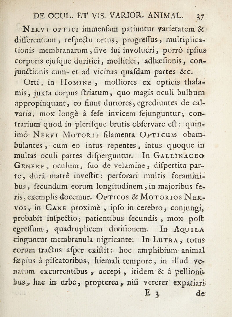 Nervj optici immenfam patiuntur varietatem 6c differentiam 5 refpe&u ortus, progreffus, multiplica¬ tionis membranarum , five fui involucri, porro ipfius corporis ejufque duritiei, mollitiei, adhsefionis, con¬ junctionis cum- et ad vicinas quafdam partes &c. Orti, in Homine, molliores ex opticis thala¬ mis, juxta corpus ftriatum, quo magis oculi bulbum appropinquant, eo fiunt duriores* egrediuntes de cal¬ varia, mox longe a fefe invicem fejunguntur* con¬ trarium quod in plerifque brutis obfervare eft: quin- imo Nervi Motorii filamenta Opticum obam¬ bulantes , cum eo intus repentes, intus quoque ini multas oculi partes difperguntur. In Gallinaceo Genere, oculum, fuo de velamine, difpertita par¬ te, dura matre inveftit: perforari multis foramini¬ bus , fecundum eorum longitudinem, in majoribus fe¬ ris, exemplis docemur. Opticos & Motorios Ner¬ vos, in Cane proxime , ipfo in cerebro, conjungi, probabit infpeCtio * patientibus fecundis , mox poft egreffum , quadruplicem divifionem. In Aquila cinguntur membranula nigricante. In Lutra , totus eorum tractus afper exiftit: hoc amphibium animal fepius a pifeatoribus, hiemali tempore, in illud ve¬ natum excurrentibus , accepi , itidem & a pellioni¬ bus,-hac in urbe, propterea, nifi vererer expatiari E 3 de