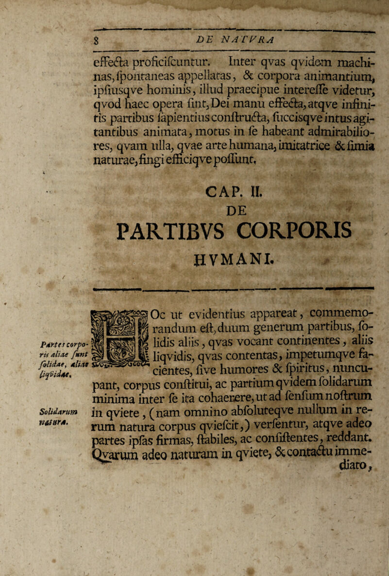 effe&a proficifcuntur. Inter qvas qvidem machi¬ nas, fpontaneas appellatas, & corpora animantium, ipliusqve hominis, illud praecipue interefle videtur, qvod haec opera fint, Dei manu effecla, atqve infini¬ tis partibus lapienti us conftru&a, fuccisqve intus agi¬ tantibus animata, motus in le habeant admirabilio¬ res, qvam ulla, qvae arte humana, imitatrice & limia naturae, fingi elficiqve poliunt, CAP. II. DE PARTIBVS CORPORIS hvmani. \ Partes corpo¬ ris aliae fnnt folidae, aliae lividae* Solidarum MtarA. Oc ut evidentius appareat, commemo¬ randum eft, duum generiun partibus, fo- lidis aliis, qvas vocant continentes, aliis liqvidis, qvas contentas, impetumqve fa¬ cientes, five humores & fpiritus, nuncu- pant, corpus conftitui, ac partium qvidem folidarum minima inter le ita cohaerere, ut ad lenium noftrum in qviete, (nam omnino abfoluteqve nullum in re¬ rum natura corpus qviefcit,) verfentur, atqve adeo partes iplas firmas, flabiles, ac conliflentes, reddant. Qvarum adeo naturam in qviete, &conta<fiuimme- ^ diato,