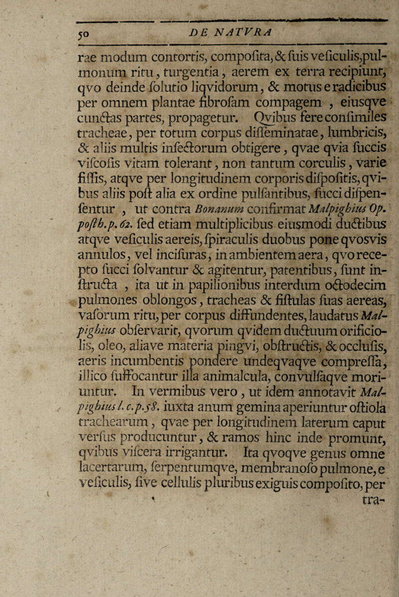 5° rae modum contortis, compoflta,& fuis veficulis,pul¬ monum ritu, turgentia, aerem ex terra recipiunt, qvo deinde folutio liqvidorum, & motus e radicibus per omnem plantae fibrolam compagem , eiusqve eundas partes, propagetur, Qvibus fereconfimiles tracheae, per totum corpus diffeminatae, lumbricis, & aliis multis infedorum obtigere, qvae qvia fuccis vifcolis vitam tolerant, non tantum corculis, varie fiffis, atqve per longitudinem corporis difpofitis, qvi¬ bus aliis poft alia ex ordine pulpantibus, flicci dilpen- fentur , ut contra Bonanum confirmat Mulpighius Op. pofth.p. 62. fed etiam multiplicibus eiusmodi duci:ibus atqve veficulis aereis, Ipiraculis duobus poneqvosvis annulos, vel inciluras, in ambientem aera, qvo rece¬ pto lucti folvantur & agitentur, patentibus, funt in- ftrutia , ita ut in papilionibus interdum otiodecim pulmones oblongos, tracheas & ftftulas luas aereas, vaforum ritu, per corpus diffundentes, laudatus Mal- pighius obfervarit, qvorum qvidem duduum orificio- lis, oleo, alia ve materia pingvi, obftrudis, & occlufis, aeris incumbentis pondere undeqvaqve comprefia, illico luffocantur illa animalcula, convullaqve mori¬ untur. In vermibus vero, ut idem annotavit Mal- pighiusl. c.p.jS. iuxta anum gemina aperiuntur oftiola trachearum, qvae per longitudinem laterum caput verius producuntur, & ramos hinc inde promunt, qvibus vifcera irrigantur. Ita qvoqve genus omne lacertarum, lerpentumqve, membranofopulmone,e veficulis, five cellulis pluribus exiguis compofito, per ' 'i tra-