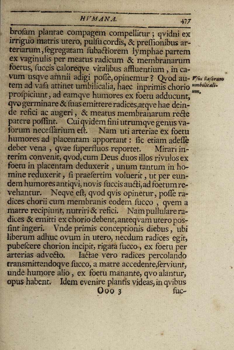 47 7 brolam plantae compagem compellitur; qvidni ex irriguo matris utero, pulfu cordis, & preffionibus ar¬ teriarum, fegregatam lubadiiorem lymphae partem ex vaginulis per meatus radicum & membranarum foetus, fuccis caloreqve vitalibus affluentium, in ca¬ vum usq ve arpnii adigi pofie, opinemur ? Qyodau- P/us 9a/orum tem ad vala attinet umbilicalia, haec inprimis chorio proipiciunt, ad eamqve humores ex foetu adducunt, ’ qvo germinare & Tuas emittere radices,atqve hae dein¬ de refici ac augeri, & meatus membranarum re<fte patere poftinf. Cui qvidem fini utrumqve genus va- ibrum necefiarium eft. Nam uti arteriae ex foetu humores ad placentam apportant: fic etiam adefle debet vena , qvae fuperfiuos reportet. Mirari in- terim convenit, qvod, cum Deus duos illos rivulos ex foetu in placentam deduxerit, unum tantum in ho¬ mine reduxerit, fi praefertim voluerit, ut per eun¬ dem humores antiqvi, novis fuccis au&i, ad foetum re¬ vehantur. Neqve eft, qvod qvis opinetur, pofie ra¬ dices chorii cum membranis eodem fucco , qvem a matre recipiunt, nutriri & refici. Nampullulare ra¬ dices & emitti ex chorio debent, anteqvam utero pos- fint ingeri. Vnde primis conceptionis diebus, ubi liberum adhuc ovum in utero, necdum radices egit, pubelcere chorion incipit, rigata fucco, ex foetu per arterias adve<fto. Iacftae vero radices percolando transmittendoqve fucco, a matre accedente,ferviunt, unde humore alio, ex foetu manante, qvo alantur, opus habent. Idem evenire plantis videas, in qvibus