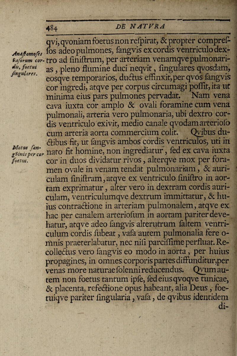 AnAftomofes Saforum cor~ dis, foetui JinguUres. Mottts fan• gS in isper cor foetus. qvi,qvoniam foetus non refpirat, & propter comprefi fos adeo pulmones, fangvis excordis ventriculo dex¬ tro ad Aniftrum, per arteriam venamqve pulmonari¬ as , pleno flumine duci neqvit, Angulares qvosdam, eosqve temporarios, ducflus effinxit, per qvos fangvis cor ingredi, atqve per corpus circumagi poflit, ita ut minima eius pars pulmones pervadat. Nam vena cava iuxta cor amplo & ovali foramine cum vena pulmonali, arteria vero pulmonaria, ubi dextro cor¬ dis ventriculo exivit, medio canale qvodamarteriofo cum arteria aorta commercium colit. Qvibus du- iftibus fit, ut fangvis ambos cordis ventriculos, uti in nato fit homine, non ingrediatur, fed ex cava iuxta cor in duos dividatur rivos, alterqve mox per fora¬ men ovale in venam tendat pulmonariam, & auri¬ culam finiftram, atqve ex ventriculo finiftro in aor¬ tam exprimatur, alter vero in dextram cordis auri¬ culam, ventriculumqve dextrum immittatur, & hu¬ ius contractione in arteriam pulmonalem, atqve ex hac per canalem arteriofum in aortam pariter deve¬ hatur, atqve adeo fangvis alterutrum faltem ventri¬ culum cordis fubeat, vafa autem pulmonalia fere o- lnnis praeterlabatur, nec nifi parciffime perfluat. Re¬ collectus vero fangvis eo modo in aorta, per huius propagines, in omnes corporis partes diffunditur,per venas more naturae folenni reducendus. Qvum au¬ tem non foetus tantum ipfe, fed eius qvoqve tunicae, & placenta, refectione opus habeant, alia Deus ,• foe- tuiqve pariter Angularia, vafa, de qvibus identidem di-
