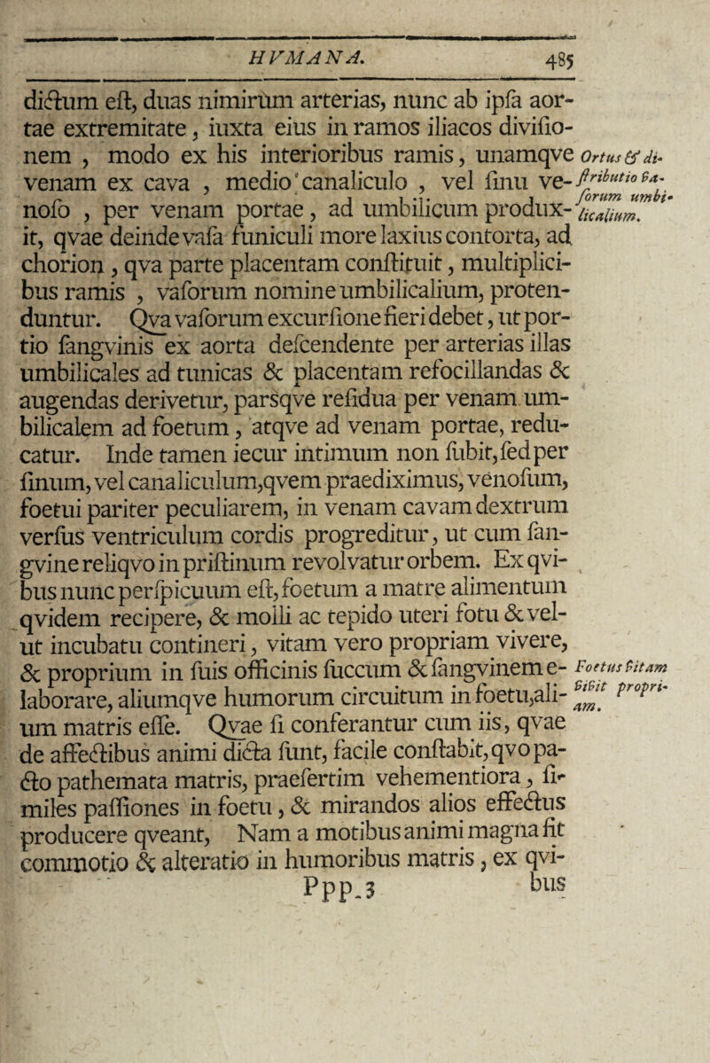diffum eft, duas nimirum arterias, nunc ab ipfa aor¬ tae extremitate, iuxta eius in ramos iliacos divilio- nem , modo ex his interioribus ramis, unamqveonus h di- venam ex cava , medio'canaliculo , vel finu yt-fi'ibu,iota; nofo , per venam portae, ad umbilicum produx- ^ it, qvae deinde vala funiculi more laxius contorta, ad chorion , qva parte placentam conftifuit, multiplici¬ bus ramis , vaforum nomine umbilicalium, proten¬ duntur. Qva vaforum excurfione neri debet, ut por¬ tio fangvinis ex aorta defcendente per arterias illas umbilicales ad tunicas & placentam refocillandas & augendas derivetur, parsqve reiidua per venam um¬ bilicalem ad foetum, atqve ad venam portae, redu¬ catur. Inde tamen iecur intimum non fubit,fedper linum, vel canaliculum,qvem praediximus, venofum, foetui pariter peculiarem, in venam cavam dextrum verfus ventriculum cordis progreditur, ut cum fan- gvinereliqvoinpriftinum revolvatur orbem. Exqvi- busnuncperlpicuum eft, foetum a matre alimentum qvidem recipere, & moili ac tepido uteri fotu & vel- ut incubatu contineri, vitam vero propriam vivere, & proprium in fuis officinis fuccum &fangvineme- Fonustuum laborare, aliumqve humorum circuitum in foetu,ali- eJ^ ?r°rrl' um matris eile. Qvae fi conferantur cum iis, qvae de affeffibus animi dicfa ftint, facile conflabit, qvopa- <fto pathemata matris, praefertim vehementiora, fi- miles paffiones in foetu, & mirandos alios effectus producere qveant, Nam a motibus animi magna Iit commotio & alteratio in humoribus matris, ex qvi- ‘ ’ Ppp.3 bus
