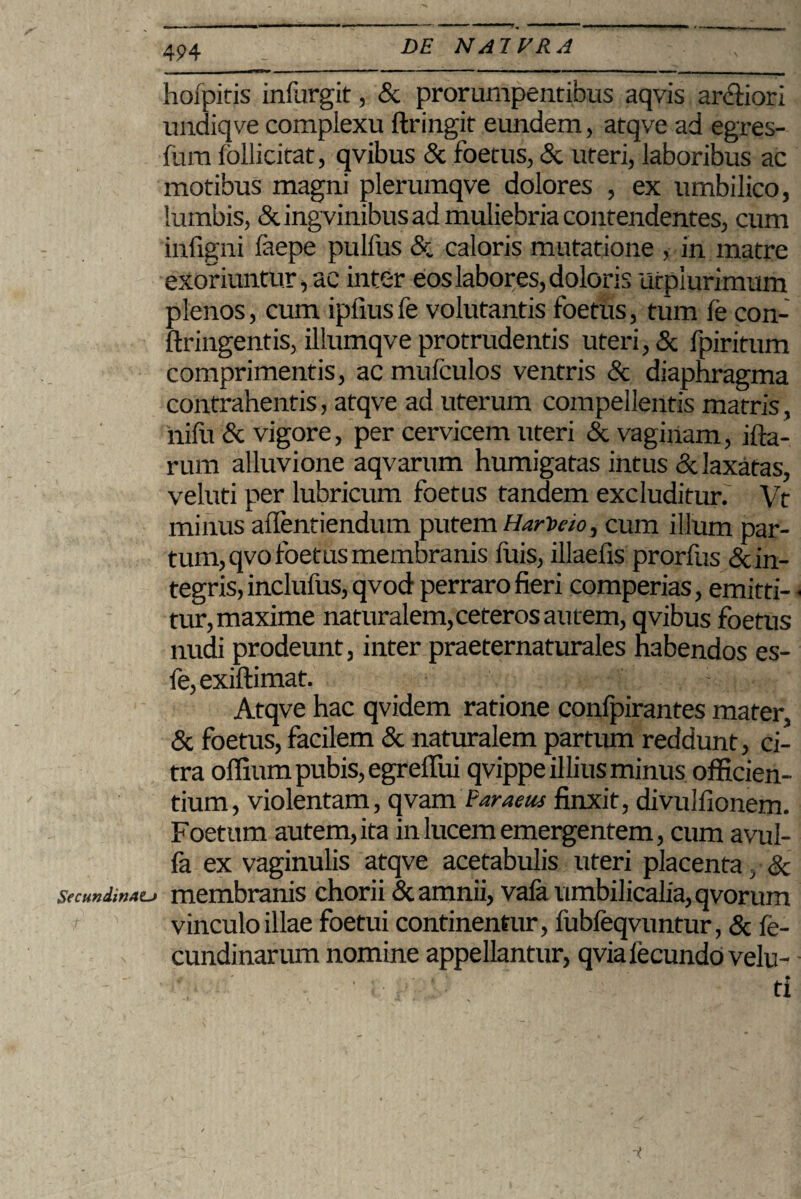 hofpitis infurgit, & prorumpentibus aqvis ardiori undiqve complexu ftringit eundem, atqve ad egres- fiim follicitat, qvibus & foetus, & uteri, laboribus ac motibus magni plerumqve dolores , ex umbilico, lumbis, &ingvinibus ad muliebria contendentes, cum inligni faepe pulfus St caloris mutatione , in matre exoriuntur, ac inter eos labores, doloris Urpiurimum plenos, cum ipliusfe volutantis foetus, tum fe con- ftringentis, illumqve protrudentis uteri, Sc fpiritum comprimentis, ac mufculos ventris Sc diaphragma contrahentis, atqve ad uterum compellentis matris, nifti Sc vigore, per cervicem uteri & vaginam, ifta- rum alluvione aqvarum humigatas intus &. laxatas, veluti per lubricum foetus tandem excluditur. Vt minus afTentiendum putem HarVeio, cum illum par¬ tum, qvo foetus membranis luis, illaefis prorfus & in¬ tegris, inclufus, qvod perraro fieri comperias, emitti- - tur, maxime naturalem, ceteros autem, qvibus foetus nudi prodeunt, inter praeternaturales nabendos es- fe,exiftimat. _ •' i Atqve hac qvidem ratione confpirantes mater, Sc foetus, facilem Sc naturalem partum reddunt > ci¬ tra offium pubis, egrelfui qvippe illius minus officien¬ tium , violentam, qvam Paraeus finxit, divulfionem. Foetum autem, ita in lucem emergentem, cum avul- fa ex vaginulis atqve acetabulis uteri placenta, Sc Secundinae^ membranis chorii & amnii, vala umbilicalia, qvorum vinculo illae foetui continentur, fubfeqvuntur, 8c fe- cundinarum nomine appellantur, qviafecundo velu- ti -i