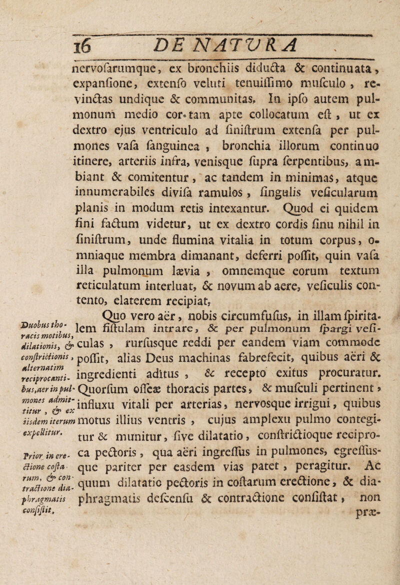 nervbfarumque, ex bronchiis diduda & continuata, expanfione, extenfo vetuti tenuiffimo mufcuio , re¬ vinctas undique <$c communitas* In ipfo autem pul¬ monum medio coctam apte collocatum eft , ut ex dextro ejus ventriculo ad finiftrum extenfa per pul¬ mones vala fanguinea , bronchia illorum continuo itinere, arteriis infra, venisque fupra ferpentibus, am¬ biant & comitentur, ac tandem in minimas, atque innumerabiles diyila ramulos > lingulis veficularum planis in modum retis intexantur. Quod ei quidem fini factum videtur, ut ex dextro cordis finu nihil in finiftrum, unde flumina vitalia in totum corpus, o- mniaque membra dimanant, deferri polfit, quin vafa illa pulmonum Ixvia , omnemque eorum textum reticulatum interluat, & novum ab aere, veficulis com tento, elaterem recipiat, y 1 Quo vero aer, nobis circumfufus, in illam Ipirita- Euobustho- fiftulam intrare, 8c per pulmonum ibargi vefi- dilationis, & culas , rurfusque reddi per eandem viam commode conftriiiionis, p0flit, alias Deus machinas fabrefecit, quibus aeri & ingrcdienti aditus , Sc recepto exitus procuratur. ius,aer hfui- Quorfum ofie® thoracis partes > & mufculi pertinent > mones adrmt- jnfjuxu vitaii per arterias, nervosque irrigui, quibus iisdem iterum motus illius ventris , cujus amplexu pulmo contegi- expellitur. tur ^ munitur, five dilatatio, conftridioque redpro« Trior in ere- ca pedoris, qUa aeri ingrefTus in pulmones, egreffus- clione cofta ■ que pariter per easdem vias patet, peragitur. Ac rZditZ- quum dilatatio pedoris in coftarum eredione, & dia- ■phr sigmatis phragmatis dcfccnfu & eontradione confiftat, non confiftit.