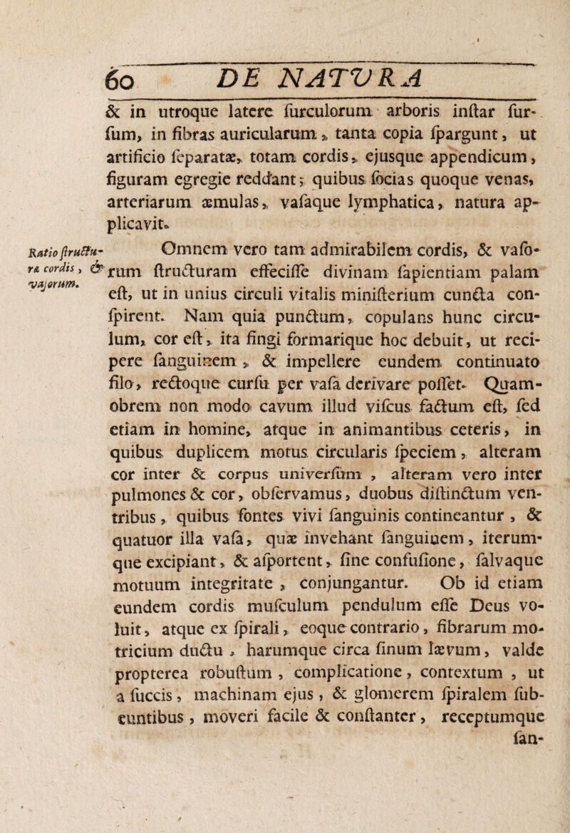 6o DE NATVRA ~ & in utroque latere furculorum arboris inftar fur- fum, in fibras auricularum * tanta copia fpargunt, ut artificio fep aratae, totam cordis» ejusque appendicum, figuram egregie reddant » quibus focias quoque venas, arteriarum aemulas,, vafaque lymphatica, natura ap¬ plicavit* Ratioflrucfu- Omnem vero tam admirabilem: cordis, & vafo» r& cordis, & mm ftruduram efFecifle divinam fapientiam palam vajomm. ut ]n unius circuli vitalis minifterium eunda con- fpirent. Nam quia puridum, copulans hunc circu¬ lum, cor eft, ita fingi formarique hoc debuit, ut reci¬ pere fangumem , & impellere eundem, continuato filo , redoque curfu per vafa derivare pollet» Quam- obrem non modo cavum illud vifcus fadum eft, fed etiam in homine, atque in animantibus ceteris, in quibus duplicem motus circularis ipeciem, alteram cor inter corpus univerfum , alteram vero inter pulmones 5c cor, obfervamus, duobus difhndum ven¬ tribus , quibus fontes vivi fanguinis contineantur , & quatuor illa vafa, qux invehant fanguiuem, iterum- que excipiant > & afportent, fine confufione, falvaque motuum integritate , conjungantur. Ob id etiam eundem cordis mufculum pendulum elfe Deus vo¬ luit , atque ex fpirali, eoque contrario, fibrarum mo- tricium dudu , harumque circa finum laevum, valde propterea robuftum , complicatione, contextum , ut a fuccis, machinam ejus, & glomerem ipiralem fub- euntibus, moveri facile & conftanter, receptumque fan-