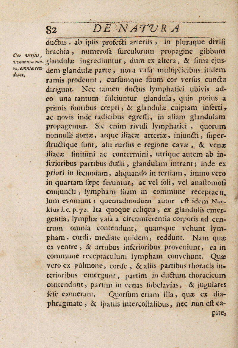 dudus, ab ipfis profecti arteriis , in pluraque diviil brachia , numerofa fureulorum propagine gibbum -glandulas ingrediuntur, dum ex altera, <5c fima ejus» dem glandulas parte , nova vafa multiplicibus itidem ramis prodeunt, curfumque fuum cor verfus eunda dirigunt. Nec tamen dudus lymphatici ubivis ad¬ eo una tantum fulciuntur glandula, quin porius a primis fontibus coepti, 6c glandula: cuipiam inferti, ac novis inde radicibus egrefli, in aliam glandulam propagentur. S;c enim rivuli lymphatici , quorum nonnulli aortas, atque iliacas arteriae, injundi, fuper- ftrudique funt, alii rurfus e regione cava:, & venae iliaex finitimi ac contermini, utrique autem ab in- ferioribus partibus du&di, glandulam intrant; inde ex priori in fecundam, aliquando in tertiam, immovero in quartam fxpe feruntur, ac vel foli, vel anaftomofi conjundi, lympham fuam in commune receptae lum evomunt; quemadmodum autor eir idem Nuc- kius l.c. p. 72. Ita quoque reliqua, ex glandulis emer¬ gentia, lymphae vaia a circumferentia corporis ad cen- trum omnia contendunt, quamque vehunt lym¬ pham, cordi, mediate quidem, reddunt. Nam qux ex ventre, & artubus inferioribus proveniunt, ea in commune receptaculum lympham convehunt. Qux vero ex pulmone, corde, & aliis partibus thoracis in¬ terioribus emergunt, partim in dudum thoracicum contendunt, partim in venas fubclavias, & jugulares fele exonerant* Quorlum etiam illa, qux ex dia¬ phragmate , & Ipatiis imercoftaiibus, nec non eftea- pue3