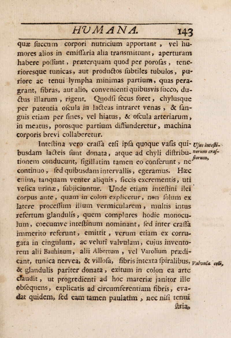 quo fuccurn corpori nutricium apportant , vel hu¬ mores alios in emiffaria alia transmittunt y aperturam habere poffunt, praeterquam quod per porofas, tene¬ ri oresque tunicas» aut produ&os fubtiles tubulos, pu¬ riore ac tenui lympha minimas partium, quas pera¬ grant, fibras, aut alio, convenienti quibusvis luceo, du- £tus illarum , rigent* Qtiodfi lecus foret, chylusque per patentia ofcula in latteas intraret venas , & (an¬ guis etiam per fines, vel hiatus, & ofcula arteriarum,, in meatus, porosque partium diffunderetur, machina corporis brevi collaberetur. Inteftina vero craffa etli ipfa quoque vafis qui- Ujmmtefti- busdam lacleis funt donata , atque ad chyli diftribu- di¬ tionem conducunt, figiilatim tamen eo conferunt, n&mUf^ continuo , fed quibusdam intervallis, egeramus, Hoc enim, tanquam venter aliquis , ficcis excrementis, uti vefica urino, fubjiciontur, Unde etiam inteffini ilei corpus ante, quam in colon explicetur, non (oltrai ex latere proedfum illum vermicularem > multis intus refertum glandulis, quem complures hodie monocu- Ium, coecumve inteftinum nominant, fed inter erafla immerito referunt, emittit, verum etiam ex corru¬ gata in cingulum, ac veluti valvulam, cujus invento¬ rem alii Bauhinuui, alii Albernmi , vel Varolium prodi¬ cant, tunica nervea, & villofa, fibris intexta fpiralibus, & glandulis pariter donata > exitum in colon ea arte claudit, ut progredienti ad hoc materiae janitor ille obfequens, explicatis ad circumferentiam fibris, eva¬ dat quidem, fed eam tamen paulatim > nec nifi tenui