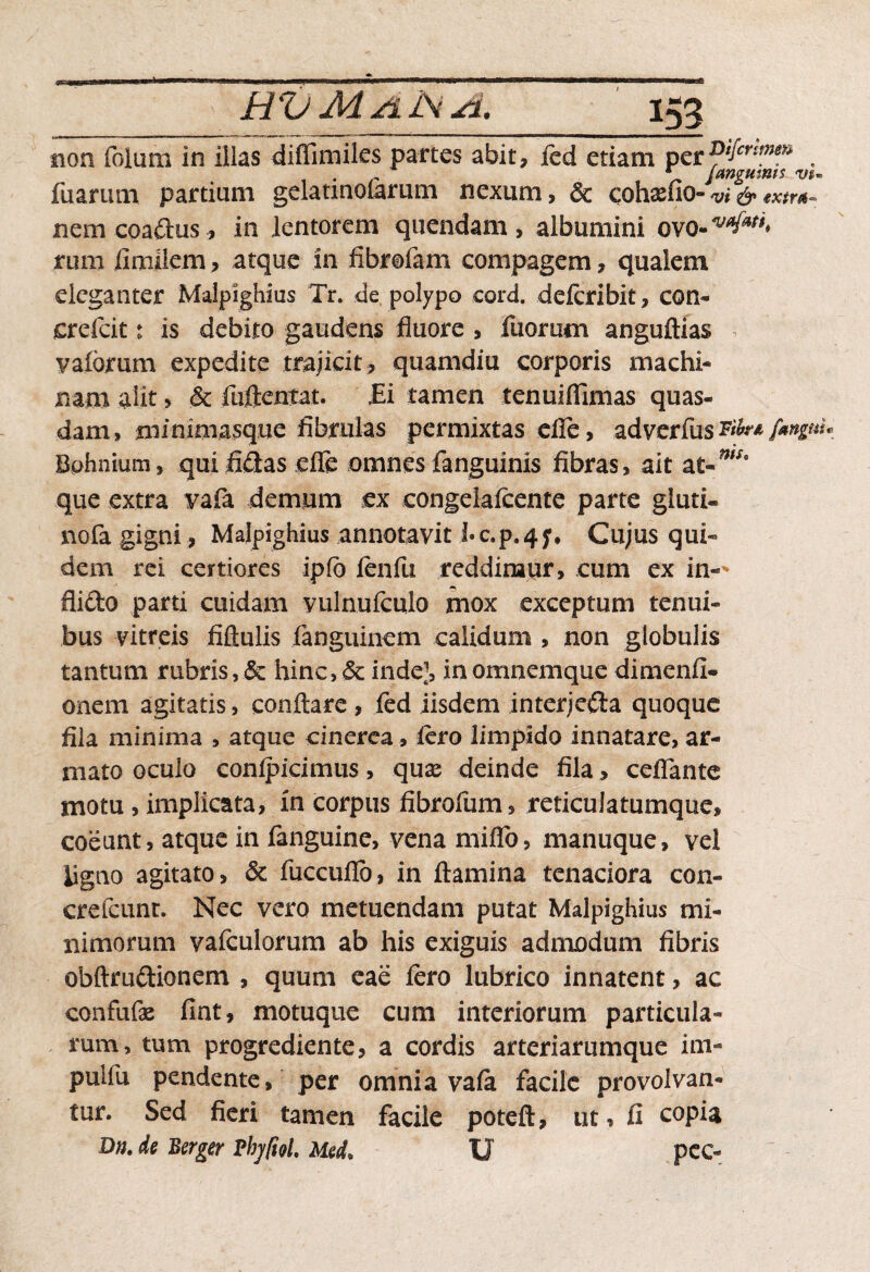 non folum in iilas diffimiles partes abit, ied etiam per*>'fcrims>' , fuarum partium gelaunolarum nexum, & cohasfio-™&€xtr*~ nem coadus, in lentorem quendam, albumini rum limiiem, atque in ii br olam compagem, qualem eleganter Malpighius Tr. de polypo cord. deferibit, con» crefeit: is debito gaudens fluore , fuorum anguftias , vaforum expedite trajicit, quamdiu corporis machi¬ nam alit , & fuftentat. Ei tamen tenuiflimas quas¬ dam, niinimasque fibmlas permixtas efle, adverfus ttbnfmgm Bphnium, qui fidas efle omnes fanguinis fibras, ait at-ms* que extra vafa demum ex congelaicente parte gluti¬ no la gigni, Malpighius annotavit i»c.p.4y* Cujus qui¬ dem rei certiores iplb lenfu reddimur, cum ex in-' flido parti cuidam vulnufculo mox exceptum tenui¬ bus vitreis fiftulis fanguinem calidum , non globulis tantum rubris,& hinc, & inde', inomnemque dimenfi- onem agitatis, conflare , fed iisdem interjeda quoque fila minima , atque einerea, fero limpido innatare, ar¬ mato oculo conipicimus, qux deinde fila > ceflante motu , implicata, in corpus fibrofum, reticulatumque, coeunt, atque in fanguine, vena miflo, manuque, vel ligno agitato, & fuccuflb, in flamina tenaciora con- crefcunr. Nec vero metuendam putat Malpighius mi¬ nimorum vafculorum ab his exiguis admodum fibris obftrudionem , quum eae Iero lubrico innatent, ac confufae fint, motuque cum interiorum particula¬ rum, tum progrediente, a cordis arteriarumque ini- puifu pendente, per omnia vala facile provolvan¬ tur. Sed fieri tamen facile poteft, ut, fi copia D«. de Berger Pbjfiol. UeL U pcc-