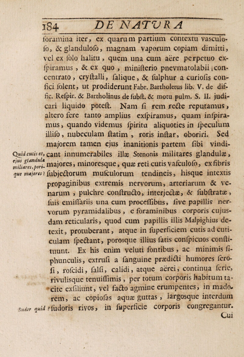 foramina iter, ex quarum partium contextu vasculo- fb, & giandulofo, magnam vaporum copiam dimitti, vel ex folo halitu, quem una cum aere perpetuo ex- ipiramus , & ex quo , minifterio pnevmatoiabii ^con- centrato, cryftalli, faiique, <5c fiilphur a curiofis con¬ fici folent, ut prodiderunt Fabr. Bartholetus lib. V, de dif- iic. Kefpir. 3c Bartholinus de fubft. & motu pulm. S. II. judi¬ cari liquido poteft. Nam fi rem re£te reputamus, altero fere tanto amplius exfpiramus, quam in(pira¬ mus , quando videmus fpiritu aliquoties in ipeculum illifo, nubeculam ftatim , roris inftar, oboriri. Sed majorem tamen ejus inanitionis partem fibi vindi- Quidcuus^,cant innumerabiles illa; Stenonis militares glandulae, tiii^port majores, minoresque, quae reti cutis vafculofo, ex fibris que majores ? fubje&orum mufculorum tendineis , hisque intextis propaginibus extremis nervorum, arteriarum & ve¬ narum , pulchre conftfu£to, interjectae, &c fubftratas, fuis emiffariis una cum proceflibus, five papillis ner¬ vorum pyramidalibus > c foraminibus corporis cujus- dam reticularis, quod cum papillis illis Malpighius de¬ texit, protuberant, atque in fuperficiem cutis ad cuti¬ culam fpedant, porosque illius fatis confpicuos confli- tnunt. Ex his enim veluti fontibus, ac minimis fi- phunculis, extrufi a fanguine praedifti humores fero- fi, rofeidi, falfi, calidi, atque aerei, continua feric, rivulisque tenuiffimis, per totum corporis habitum ta¬ cite exfiliunt, vel fado agmine erumpentes, in mado, rem, ac copiofas aquae guttas , largosque interdum ■^crquid Ifudoris rivos, in fuperficie corporis congregantur. Cui