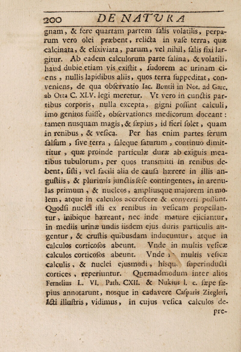 soo gnam, & fere quartam partem falis volatilis» perpa¬ rum vero olei praebent, relicta in vale terra» qu& calcmata» & elixiviata» parum » vel nihil, falis fixi lar¬ gitur. Ab eadem calculorum parte falina, & volatili, haud dubie etiam vis exiftit, fudorem ac urinam ci¬ ens 2 nullis lapidibus aliis» quos terra fuppeditat» con¬ veniens, de qua obfervatio lac. Bontii in Not. ad Garc* ab Orta C. XLV. legi meretur. Vt vero in cunctis par¬ tibus corporis, nulla excepta, gigni polluit calculi, imo genitos fuiffe, obiervariones medicorum doceant: tamen nusquam magis,^fiepius» id fieri fokt» quam in renibus, & vefica* Per has enim partes ferum falfum , five terra , faleque faturum , continuo dimit¬ titur > qux proinde particulas durae ab exiguis mea¬ tibus tubulorum* per quos transmim in renibus de¬ bent, fifti» vel facili alia de caufa hxrere in illis an- guftiis, & plurimis junctisfefe contingentes» in arenu¬ las primum » & nucleos, aiiipliusque majorem in mo¬ lem, atque in calculos accrcfcere <5c converti poilunt. Quod fi nuclei iftt ex renibus in veficam propdlan- tur, inibique haereant» ncc inde mature ejiciantur, in mediis urinas undis iisdem ejus duris particulis au¬ gentur , & crnftis quibusdam inducuntur» atque in calculos corticofos abeunt. Vade in multis vcficx calculos corticofos abeunt, Vnde i multis veficx calculis, & nuclei ejusmodi, hisqu fupcrindudti cortices » referiuntur. Quemadmodum inter alios Fernelius L. VI. Patii, CXIL & Nukius i. c. iaepe fe- pius annotarunt, nosque in cadavere Calparis Ziegleri, ilinftris» vidimus, in cujus ycfica calculos de- pre-