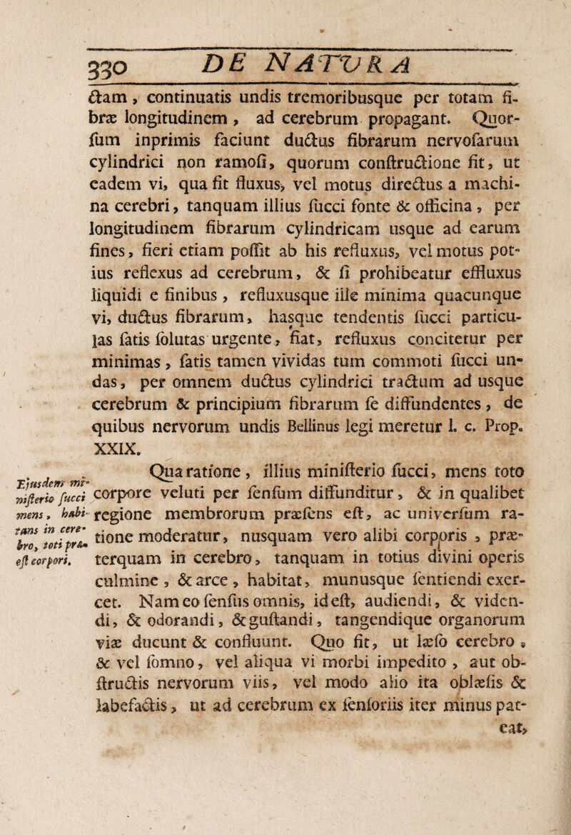 m——i i mm i »i«w n iiiiuiw—i ■ ■ ■■■■>' i i ii hiihiiiuiwhi^ i ii ^ dam, continuatis undis tremoribusque per totam fi¬ bra: longitudinem , ad cerebrum propagant. Quor- fum inprimis faciunt dudus fibrarum nervofarum cylindrici non ramofi* quorum conftrudione fit, ut eadem vi, qua fit fluxus, vel motus diredus a machi¬ na cerebri, tanquam illius fucci fonte & officina , per longitudinem fibrarum cylindricam usque ad earum fines, fieri etiam poffit ab his refluxus, vel motus pot¬ ius reflexus ad cerebrum, <5c fi prohibeatur effluxus liquidi e finibus , refluxusque ille minima quacunque vi, dudus fibrarum, hasque tendentis fucci particu¬ las fatis folutas urgente, fiat, refluxus concitetur per minimas, fatis tamen vividas tum commoti fucci un¬ das, per omnem dudus cylindrici tradam ad usque cerebrum & principium fibrarum fe diffundentes , de quibus nervorum undis Bdlinus legi meretur L c. Prope XXIX. . . Qua ratione, illius minifterio fucci, mens toto JpriTfuJi corpore veluti per fenfum diffunditur, & in qualibet fnem, h*bi- regione membrorum prxfens eft, ac univerfum ra- Tro 'milii* Aone moderatur, nusquam vero alibi corppris , pras- ejleorpm. terquam in cerebro , tanquam in totius divini operis culmine , & arce , habitat > munusque ientiendi exer¬ cet. Nam eo fenfus omnis, ideft, audiendi, & viden¬ di, <5c odorandi, &guftandi, tangendique organorum vias ducunt & confluunt. Quo fit, ut 1 xfo cerebro» dc vel fomno, vel aliqua vi morbi impedito , aut ob¬ linietis nervorum viis, vel modo alio ita oblasiis & labefadis, ut ad cerebrum ex ienforiis iter minus pat¬ eat.