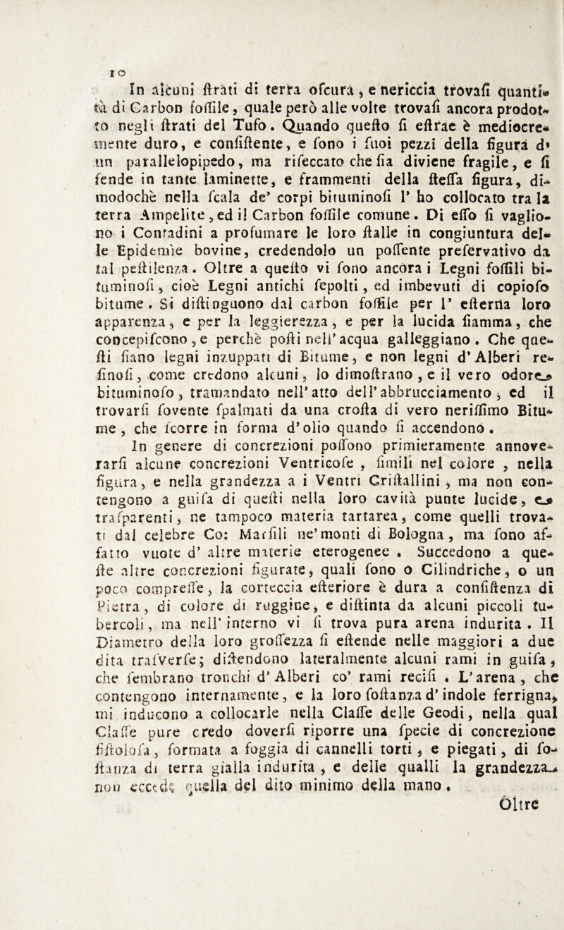 In alcuni lìràtt di terra ofcura, e nericcia trovali quanti» tà di Carbon follile, quale però alle volte trovali ancora prodot- to negli Arati del Tufo. Quando quello fi efttae è mediocre* mente duro, e confiftente, e fono i fuoi pezzi della figura d* un parallelepipedo, ma rifeccato che fia diviene fragile, e fi fende in tante laminette, e frammenti della fteffa figura, di¬ modo che nella fcala de’ corpi bituminoli 1* ho collocato tra la terra Ampelite, ed il Carbon follile comune. Di eflb fi vaglio- no i Conradini a profumare le loro Halle in congiuntura del* le Epidemìe bovine, credendolo un pofiente prefervativo da tal peftilenza. Oltre a quello vi fono ancorai Legni follili bi« tuminofi , cioè Legni antichi fepolti, ed imbevuti di copiofo bitume. Si dillinguono dal carbon foffile per 1* efteriia loro apparenza, e per la leggerezza, e per la lucida fiamma, che coocepifcono , e perchè polli nell’acqua galleggiano. Che que¬ lli liano legni inzuppati di Bitume, e non legni d’Alberi re* finofi, come credono alcuni, lo dimoltrano , e il vero odore»*» bituminolo, tramandato nell’atto dell’abbracciamento 3 ed il trovarli fovente fpalmati da una crolla di vero ne ri [fimo Bitu* me , che feorre in forma d’olio quando fi accendono*. In genere di concrezioni poffòno primieramente annove* rarfi alcune concrezioni Ventricofe , limili nel colore , nella figura, e nella grandezza a i Ventri Griilallini , ma non con* tengono a guifa di quelli nella loro cavità punte lucide, e_s> trafparenti, ne tampoco materia tartarea, come quelli trova* ti dal celebre Co: Mar fili ne’monti di Bologna, ma fono af¬ fano vuote d* altre materie eterogenee . Succedono a que¬ lle altre concrezioni figurate, quali fono ò Cilindriche, o un poco comprese, la corteccia citeriore è dura a confluenza di Pietra, di colore di ruggine, e diftinta da alcuni piccoli tu¬ bercoli, ma nell’interno vi fi trova pura arena indurita. Il Diametro della loro grolTezza fi eltende nelle maggiori a due dita trafverfe; difendono lateralmente alcuni rami in guifa, che fembrano tronchi d’Alberi co’ rami recifi • L’arena, che contengono internamente, e la loro follanzad’indole ferrigna* mi inducono a collocarle nella Claffe delle Geodi, nella qual Cla(fé pure credo doverfi riporre una fpecie di concrezione fiftolofa, formata a foggia di cannelli torti , e piegati, di fo- fhnza di terra gialla indurita , e delle quali! la grandezza^ non eccede quella dei dito minimo della mano, Oltre