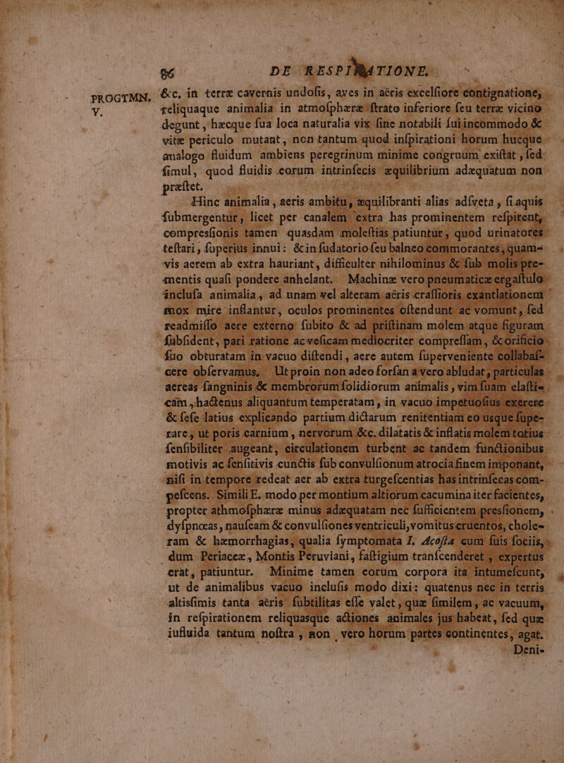 96 2: DE RESPINMTIONZ.. , PROGTMN. &amp;c, in. terre cavernis undofis, aves in aéris excelfiore contignatione, Y. . feliquaque animalia in atmolphere: ftrato inferiore feu terra vicino degunt , hzcque fua loca naturalia vix (ine notabili fuiincommodo &amp; viti periculo mutant, non tantum quod infpirationi horum hucque. analogo fluidum ambiens peregrinum minime congruum exi(tat , fed: fimul, quod fluidis eorum intrinfecis equilibrium adaquatum non - peetet. : Hinc animalia , aeris ambitu, xquilibranti alias adíveta , fi aquis fubmergentur ;. licet per canalem extra has prominentem refpirent, cempresfjionis tamen quasdam moleftias patiuntur, quod urinatotes | teftari , fuperius innui: &amp;in fudatoriofeu balneo commorantes ; quani- vis aerem ab extra hauriant, difficulter nihilominus &amp; fub molis pte- 4nentis quafi pondere dhhelant, Machine vero pneumatic ergaítulo: anclufa animalia, ad unam wel alteram aéris craffioris. exantlationem £nox mire inflantur , oculos prominentes oftendunt ac vomunt, fed readmiílo aere externo: fubito &amp; ad priftinam molem atque m fübfident, pari ratione acveficam mediocriter compreffam , &amp;corificio. fuo obturatam in: vacuo diftendi , aere autem fuperveniente c llabaf-- cere obfervamus, tproin non adco forfan a vero abludat, particulas | aereas fanguinis &amp; membrorum folidiorum animalis vim fuam elafti« cam ,ha&amp;enus aliquantum: temperatam , in vacuo impetuofius exerere &amp; fefe latius explicando partium dictarum renitentiam eo usque fu )e- rare, ut poris carnium , nervorum &amp;c. dilatatis &amp; inflatis molem totius E: fenübiliter augeant, Siccülsttengmn turbent ac tandem functionibus. motivis ac fen(itivis cunctis füb convulfionum atrociafinem i imponant, nifi in tempore : redeat aer ab extra turgefcentias has intrinfecas com-. peícens. Simili E. modo. per montium altiorum cacumina iter facientes, propter athmofphzrz minus adzquatam nec fafficientem. | presfionem, . dyfpnocas , naufeam &amp; convul(iones ventriculi, vomitus cruentos, chole- ram &amp; hemorrhagias, qualia fymptomata I. 4cofla cum füis fociis, - . dum Periacex , Montis Peruviani, faftigium tranfcenderet ;. : expertus erat, patiuntur. Minime tamen eorum corpora ita intumefcunt, ut de animalibus vacuo inclufis modo dixi: quatenus nec in terris altisfimis tanta aéris fubtilitas efe valet , qua fimilem , ac vacuum, in refpirationem reliquasque actiones adiens] jus habeat, fed que iufluida tantum noftra , gon , vero horum partes continentes, agat. deni: 3»