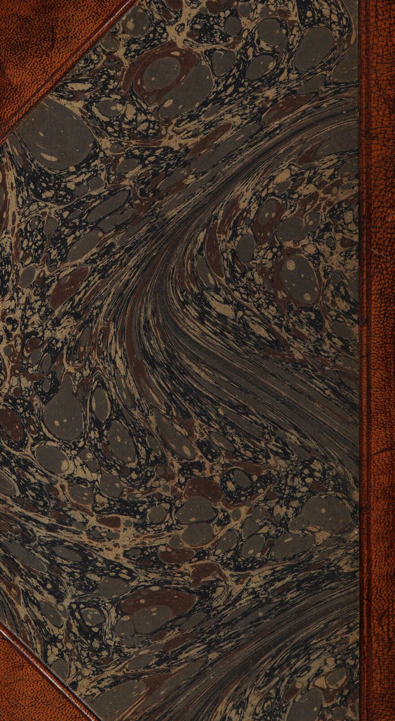 “ah re . i r a ~~ Veh eee 977, eee a. ee. ated 2 tir x ah S\ ok oe ek . .; hy ° c ‘ , f ee ed eo baa ae ‘\\y 4 . ee Te : we en S Ai fs bat i pe Lt ok W/ ye * WN aha A Wa. 0 Qa Na =e os ae ‘ 5 +3 i % ’ y i
