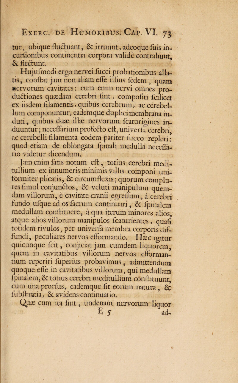 tur, ubique fludluant, &: irruunt, adeoque fuis in- curiionibus continentia corpora valide contrahunt, fledlunt. Hujufmodi ergo nervei fucci probationibus alla¬ tis , conflat jam non aliam effe illius fedem , quam mervorum cavitates: cum enim nervi omnes pro- dudliones quaedam cerebri fint, compofiti fcilicet ex iisdem filamentis, quibus cerebrum, ac cerebel¬ lum componuntur, eademquc duplici membrana in¬ duti , quibus duas illae nervorum fcaturigines in¬ duuntur; neceffarium profecto efl, univerfa cerebri, ac cerebelli filamenta eodem pariter fucco repleri: quod etiam de oblongata fpinali medulla neceffa- rio videtur dicendum. Jam enim fatis notum eft, totius cerebri medi¬ tullium ex innumeris minimis villis componi uni¬ formiter plicatis, & circumflexis; quorum complu¬ res fimul conjundtos, &C veluti manipulum quem¬ dam villorum, e cavitate cranii egreflum, a cerebri fundo ufque ad os facrum continuari, & fpinalem medullam conflituere, a qua iterum minores alios, atque alios villorum manipulos fcaturientes , quali totidem rivulos, per univerfa membra corporis dif¬ fundi, peculiares nervos efformando. Haec igitur quicunque fcit, conjiciat jam eumdem liquorem, quem in cavitatibus villorum nervos efforman- tium reperiri fuperius probavimus, admittendum quoque efle in cavitatibus villorum, qui medullam fpinalem, &e totius cerebri meditullium conflituunt, cum unaprorfus, eademque fit eorum natura, fubflantia, & evidens continuatio. Quae cum ica fint, undenatn nervorum liquor E $ ' ad-
