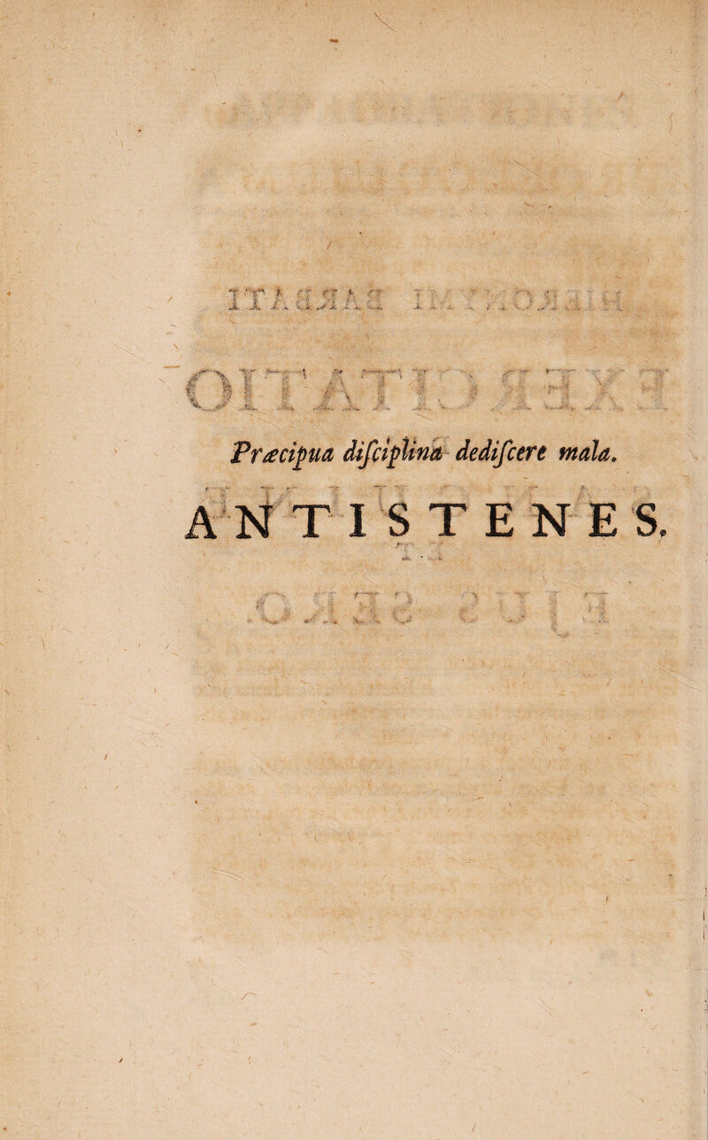 Praecipua difciglina dedifcere mala. y