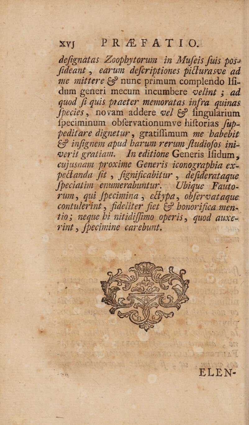 defignatas Zoophytorum in Mufeis fuis pos~ fideant, earum defcriptiones piUurasve ad me mittere nunc primum complendo lfi- dum generi mecum incumbere velint ; ad quod fi quis praeter memoratas infra quinas jpecies, novam addere vel £«? lingularium Ipeciminum obfervationumve liifcorias fup- peditare dignetur, gratiflimum me habebit infignem apud harum rerum Jludiofos ini¬ verit gratiam. In editione Generis llidum , cujusnam proxime Generis iconographia ex- pelianda fit, fignificabitur , defiderataque Jpeciatim enumerabuntur. Ubique Fauto¬ rum , qui Jpecimina, eliypa, obfervataque contulerint, fideliter fiet & honorifica men¬ tio; neque hi nitidijfimo operis, quod auxe¬ rint , jpecimine carebunt. ELEN-
