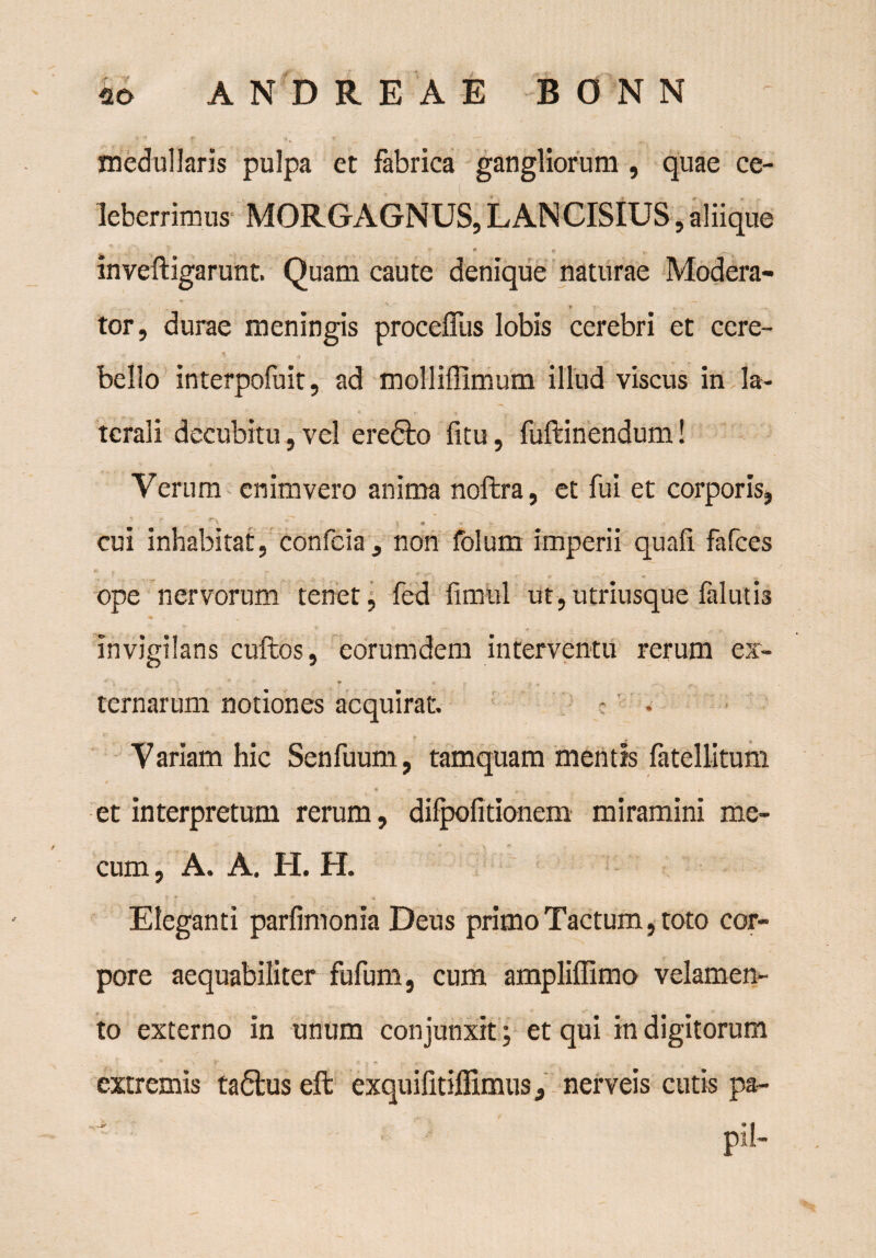 medullaris pulpa et fabrica gangliorum , quae ce¬ leberrimus MORGAGNUS, LANCISIUS, aliique mveftigarunt. Quam caute denique naturae Modera- tor, durae meningis procefliis lobis cerebri et cere- * » bello interpofuit, ad molliffimum illud viscus in la¬ terali decubitu,vel ere<5to litu, fuftinendum! Verum enimvero anima noftra, et fui et corporis, v> \ n •* • cui inhabitat, confcia , non folum imperii quali fafces ope nervorum tenet, fed fimul ut,utriusque falutis invigilans cuftos, eorumdem interventu rerum ex-  \ v n * * j. , r .... ^ - ternarum notiones acquirat. Variam hic Senfuum, tamquam mentis fatellitum et interpretum rerum, dilpofitionem miramini me- cum, A. A. H. H. Eleganti parfimonia Deus primo Tactum, toto cor¬ pore aequabiliter fufum, cum ampliffimo velamen¬ to externo in unum conjunxit; et qui in digitorum extremis ta<5lus eft exquifitiffimus9 nerveis cutis pa- • pii-