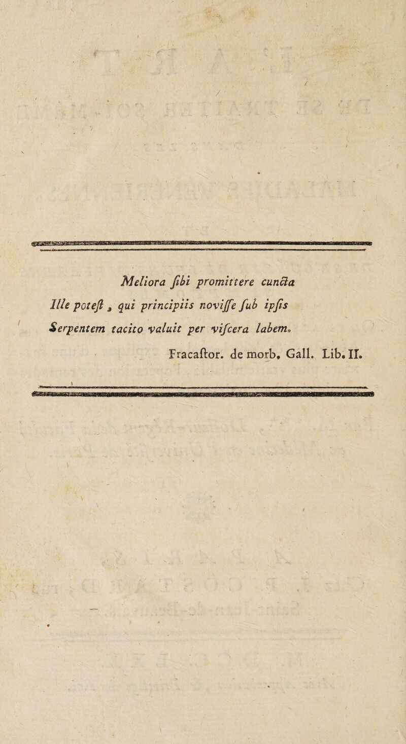 Meliora fibi promittere cuncla llle poteft 9 qui principiis noviffe fub ipjîs Serpentent tacito valait per vifcera labem, Fracaftor. de morb. Gall. Lib. Iî.