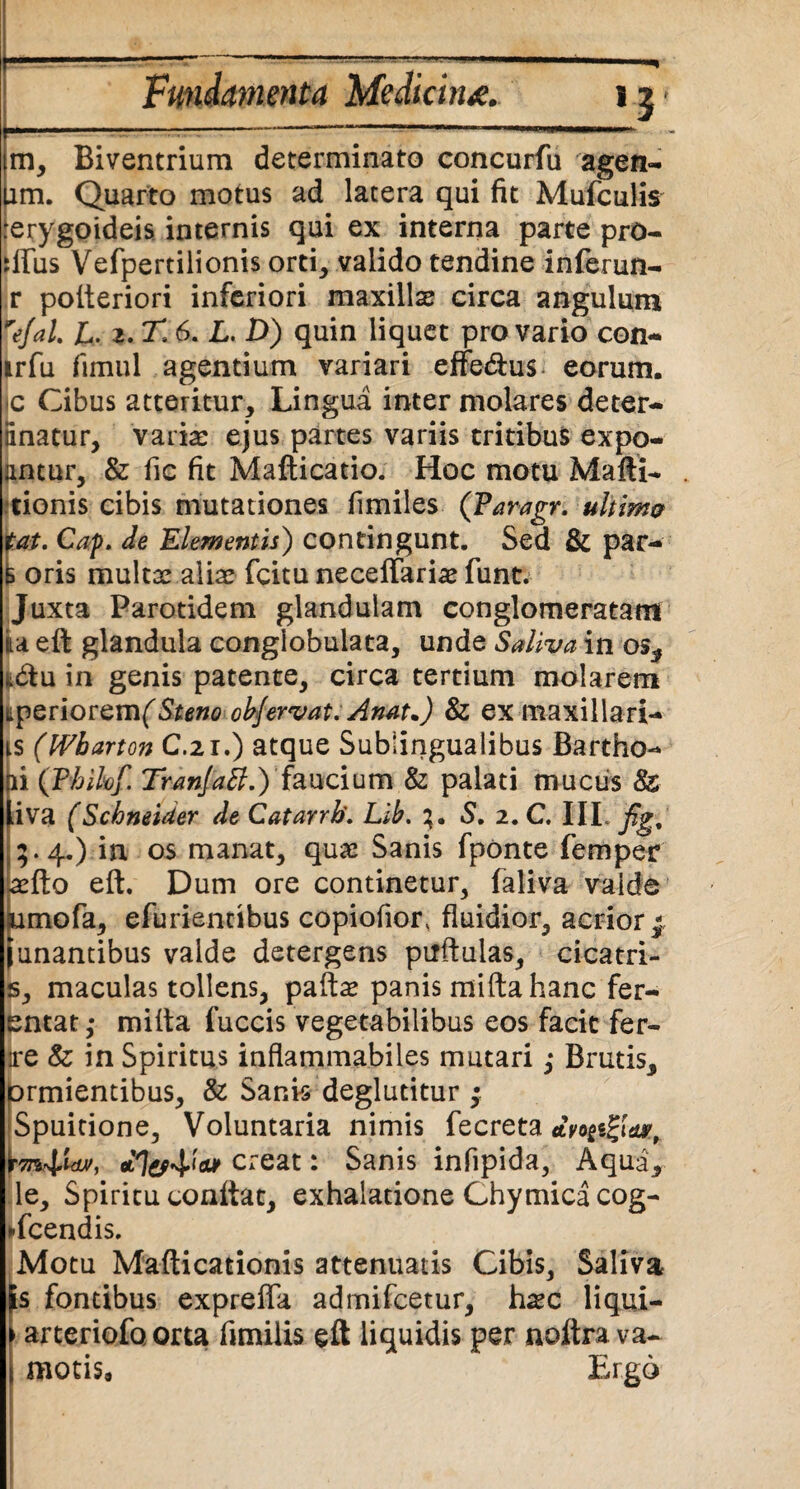 m, Biventrium determinato concurfu egen¬ um. Quarto motus ad latera qui fit Mufculis rerygoideis internis qui ex interna parte pro- tiliis Vefpertilionis orti, valido tendine inferun- r pofteriori inferiori maxillas circa angulum iJaL L. 2. J! 6. L. D) quin liquet pro vario con- irfu fimul agentium variari effe&us eorum, ic Cibus atteritur. Lingua inter molares deter- linatur, varias ejus partes variis tritibus expo¬ natur, & fic fit Mafticatio. Hoc motu Mafti- tionis cibis mutationes fimiles (Paragr. ultima tat. Caf. de Elementis) contingunt. Sed & par- B oris multas alias fcitu neceffarias funt. Juxta Parotidem glandulam conglomeratam lia eft glandula congiobulata, unde Saliva in os, t&u in genis patente, circa tertium molarem tperioremf Steno ob/ervat. Anat\) 8z ex maxillari- is (IVharton C.21.) atque Sublingualibus Bartho- |ii (Vhilof. Tranfatt.) faucium & palati mucus & liva (Schmider de Catarrb. Lib. 3. S. 2. C. IIL fig, j 5.4.).in os manat, quae Sanis fponte femper aefto eft. Dum ore continetur, faliva valde Jumofa, efurientibus copiofior, fluidior, acrior $ junantibus valde detergens puftuias, cicatri- s, maculas tollens, paftas panis mifta hanc fer- entat ,* mifta luccis vegetabilibus eos facit fer¬ ire & in Spiritus inflammabiles mutari ,• Brutis, prmientibus, & Sank deglutitur ; Spuitione, Voluntaria nimis fecreta creat: Sanis infipida, Aqua, le. Spiritu conftat, exhalatione Chymica cog- ►fcendis. Motu Mafticationis attenuatis Cibis, Saliva \s fontibus exprefta admifcetur, h^c liqui- ’ )foorta fimilis eft liquidis per noftra va- Er.gd