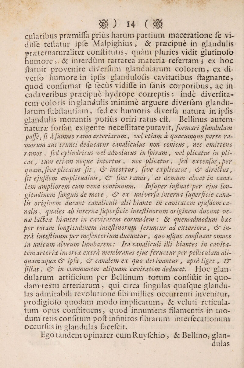 cularlbus praemiifa prius harum partium maceratione fe vi- diife teftatur ipfe Malpighius, Sc praecipue in glandulis praeternaturaliter conftitutis, quam pluries vidit glutinofo humore >, & interdum tartarea materia refertam 5 ex hoc ftatuit provenire diverfum glandularum colorem, ex di- verfo humore in ipfis glandulofis cavitatibus ftagnante, quod confirmat fe fecus vidiiTe in fanis corporibus, ac in cadaveribus praecipue hydrope correptis 5 inde diverfita- tem coloris in glandulis minime arguere diverfam glandu- larum fubftantiam > fed ex humoris diverfa natura in ipfis glandulis morantis potius oriri ratus eft. Bellinus autem naturas forfan exigente neceffitate putavit, formari glandulam poffe, fi afummo ramo arteriarum 3 vel etiam a quacumque parte ra¬ morum aut trunci deducatur canaliculus non conicus 3 nec emittens ramos 3 fed cylindricus vel advolutus infpiram 3 vel plicatus in pli¬ cas y tum etiam neque intortus , nec plicatus 3 fed extenfus, per quam-ff ve plicatus fit 3 & intortus 3 fiive explicatus 3 & directus 3 fit ejufidem amplitudinis 3 & fime ramis 3' at demum ah e at in cana¬ lem ampliorem cum vena continuum. Infiuper influat per ejus lon¬ gitudinem fanguis de more 3 & ex univerfa interna fiuperficie cana¬ lis originem ducant canaliculi alii hiante in cavitatem ejufidem ca¬ nalis y quales ah interna fiuperficie inteflinorum originem ducunt ve¬ na ladiea hiantes in cavitatem eorumdem ; & quemadmodum hac per totam longitudinem inteflinorum feruntur ad exteriora 3 & in¬ tra intefiinum per mefenterium ducuntur 3 quo ufque confluant omnes in unicum alveum lumharem: Ita canaliculi illi hiantes in cavita¬ tem arteria intorta extra membranas ejus feruntur per pelliculam ali¬ quam aqua & ipfa 3 & canalem ex quo derivantur 3 apte liget 3 & jiflat 3 & in communem aliquam cavitatem deducat. Hoc glan¬ dularum artificium per Bellinum totum confiftit in quo¬ dam textu arteriarum, qui circa lingulas quafque glandu¬ las admirabili revolutione fibi millies occurrenti invenitur, prodigiofo quodam modo implicatum, & veluti reticula¬ tum opus conftituens, quod innumeris filamentis in mo¬ dum retis confitum poft infinitos fibrarum interfecationum occurfusin glandulas faceicit. Ego tandem opinarer cumRuyfchio, dc Bellino, glan¬ dulas