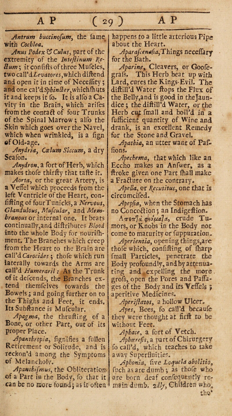Antrum buccinofum, the fame^ with Cochlea, Anus Podex U Cuius, part of the extremity of the Intefiinum fie- Bum\ itconfiftsofthreeMufcIes, two czWdLevatores ,which diftend and open it in time of Neceffity; and one cal*d5j?Hwfh?r,whichfhi4ts it and keeps it fo. It is alfo a Ca¬ vity in the Brain, which arifes from the contaft of four Trunks of the Spinal Marrow ; alfo the Skin which goes over the Navel, which when wrinkled, is a fign ef Old-age. Anydria, Cesium Siccum, a dry Seafon. Any dr on, a fort of Herb, which makes thofe thirfty that tafte it. Aorta, or the great Artery, is a Veffel which proceeds from the left Ventricle of the Heart, con¬ fining of fourTunicks,a Nervous, Clandulous, Mufcular, and Mem¬ branous or internal one. It beats continually,and diftributes Blood into the whole Body for r.ourifh- ment. The Branches which creep from the Heart to the Brain are call’dCaroczdes; thofe which run laterally towards the Arms are call’d HumerarilAs the Trunk of it defeends, the Branches ex¬ tend themfelves towards the Bowels.; and going further on to the Thighs and Feet, it ends. Its Subftance is Mufcular. Apagma, the thrufting of a Bone, or other Part, out of its proper Place. Apantbropla, fignines a fullen Retirement or Solitude, and is reckon’d among the Symptoms of Melancholy. ApamhifmuSy the Obliteration^ of a Part in the Body, fo that it can be no more found; as it often happens to a little arterious Pipe about the Heart. Aparafcenafta^ Things necefiary for the Bath. Aparine, Cleavers, or Goofe- grafs. This Herb beat up with Lard, cures the Kings-Evil. The diftill’d Water flops the Flux of the Belly,and is good in thejaun- dice; the diftill’d Water, or the Herb cu£ fmall and boil’d in a fufficient quantity of Wine and drank, is an excellent Remedy for the Stone and Gravel. Apathia, an utter want of Paf- fions. Apechema, that which like ail Eccho makes an Anfwer, as a ftroke given one Part (hall make a Erasure on the contrary. Apella, or fie cut it us} one that is circumcifed. Apepfia, when the Stomach has no Conco&ion; an Indigeftion. A'zz'/jcL qlw{to]a, crude Tu¬ mors, or Knobs in the Body not come to maturity or fuppuration. Aperientia, opening things,are thofe which, confining of (harp fmall Particles, penetrate the Body profoundly, and by attenua¬ ting and expelling the more, grofs, open the Pores and Paffa- ges of the Body and its Vcffdg % aperitive Medicines. Aperiflatos, a hollow Ulcer. Apes, Bees, fo call’d becaufe they were thought at firft to he without Feet. Aphace, a fort of Vetch. Aphcerejis, a part of Chirurgery fo call’d, which teaches to take away Superfluities. Aphonia, five Loquela abolhh, fuch as are dumb; as thofe who are born deaf conrequently re¬ main dumb, 2dljy Children who*
