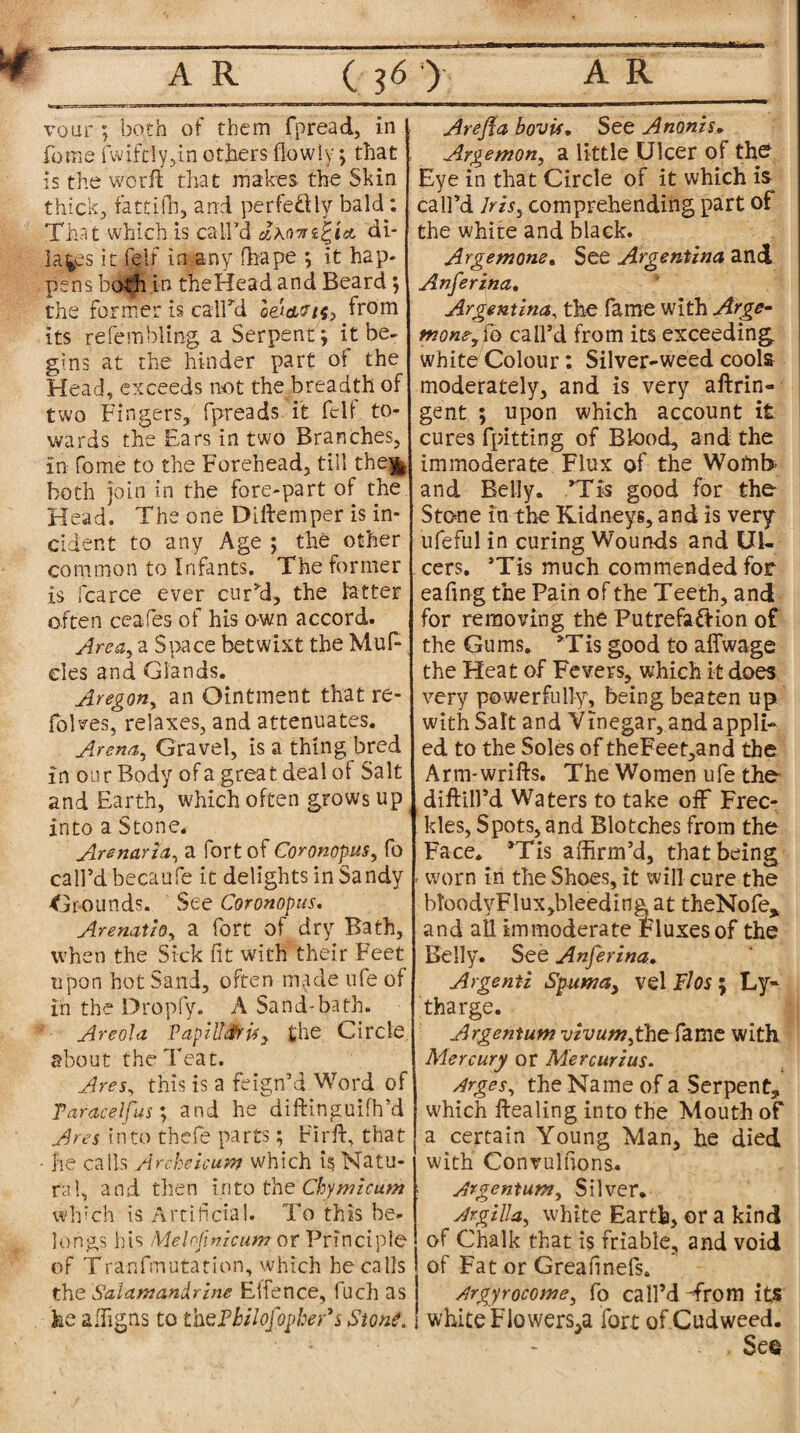 J* C_£) vour'; both of them fpread, in feme fwifrly,in others (lowly; that is the wcrfl: that makes the Skin thick, fattifh, and perfe&ly bald: That which is call’d clMTn^ia, di¬ lates it f$lf in any fhape ; it hap¬ pens both in theHead and Beard *, the former is called aeW/$> from its refembling a Serpent; it be¬ gins at the hinder part of the Head, exceeds not the breadth of two Fingers, fpreads it felt to¬ wards the Ears in two Branches, in fome to the Forehead, till the^ both join in the fore-part of the Head. The one Didemper is in¬ cident to any Age ; the other common to Infants. The former is fcarce ever cur’d, the latter often ceafes of his own accord. Area, a Space betwixt the Muf- eles and Glands. Aregon, an Ointment that re¬ folds, relaxes, and attenuates. Arena, Gravel, is a thing bred in our Body of a great deal of Salt and Earth, which often grows up into a Stone. Are navi a, a fort of Coronopus, fo call’d becaufe it delights in Sandy Grounds. See Coronopus. Arenatlo, a fort of dry Bath, when the Sick (it with their Feet upon hot Sand, often made ufe of in the Dropfy. A Sand-bath. ' Areola PapzlLiru, the Circle about the Teat. Ares, this is a feign’d Word of Par ace If us; and he diftinguifh’d Ares into thefe parts; Fird, that • he calls Archeicum which is Natu¬ ral, and then into the Cbymicum which is Artificial. To this be¬ longs his Melojlnicum or Principle of Tranfinutation, which he calls the Salamandrine Eifence, fuch as fee affigns to thePhilofopher's Stone, Are/fa bovif, See Anonis. Argemon, a little Ulcer of the Eye in that Circle of it which is call’d Iris5 comprehending part of the white and black. Argemone. See Argentina and Anferina. Argentina, the fame with Arge- tnomy (b call’d from its exceeding white Colour: Silver-weed cools moderately, and is very aftrin- gent ; upon which account it cures fpitting of Blood, and the immoderate Flux of the Wofnb- and Belly. ’Tis good for the Stone in the Kidneys, and is very ufeful in curing Wounds and Ul¬ cers. ’Tis much commended for eafing the Pain of the Teeth, and for removing the Putrefaction of the Gums. >Tis good to affwage the Heat of Fevers, which it does very powerfully, being beaten up with Salt and Vinegar, and appli¬ ed to the Soles of theFeet,and the Arm-wrifts. The Women ufe the didlll’d Waters to take off Frec¬ kles, Spots, and Blotches from the Face. ’Tis affirm’d, that being worn in the Shoes, it will cure the btoodyFlux,bleeding at theNofe* and all Immoderate Fluxes of the Belly. See Anferina. Argenti Spuma, vel Fhs ; Ly- tharge. Argentum vivum,ihe fame with Mercury or Mercurius. Arges, the Name of a Serpent, which dealing into the Mouth of a certain Young Man, he died with Convulsions. Argentum, Silver. Argilla, white Earth, or a kind of Chalk that is friable, and void of Fat or Greafinefs. Argyrocome, fo call’d Trom it,S white Flo wers^a fort of Cudweed. See