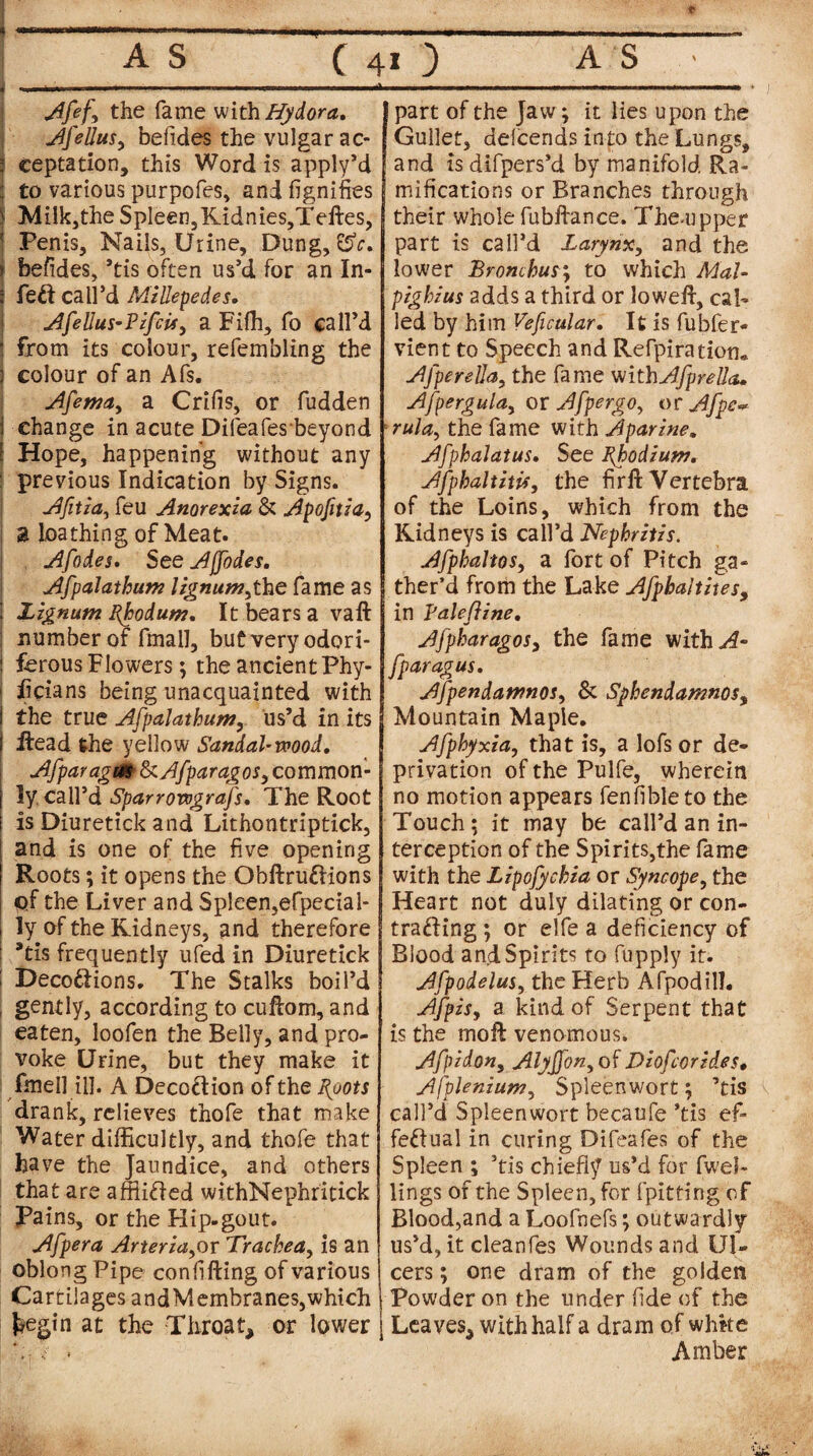 AS AS (40 f —~-■--- Aftfy the fame with Hydora. AfeUus, befides the vulgar ac- j ceptation, this Word is apply’d j to various purpofes, and fignifies | Mi!k,theSpleen,Kidnies,Tedes, Penis, Nails, Urine, Dung, &c. j befides, ’tis often us’d for an In- ; feCt ca 11 ’d Millepedes. AfeUus-Fifth, a Fifh, fo call’d ■ from its colour, refembling the j colour of an Afs. Afemay a Crifis, or fudden I change in acute Difeafesbeyond \ Hope, happening without any previous Indication by Signs. Afitia, feu Anorexia & Apofitia, a loathing of Meat. Afodes. See Ajftdes. Aftalathum lignumgC&Q fame as 1 Lignum Feodum, It bears a vaft : number of final], butvery odori- i ferous Flowers; the ancient Phy- i Fcians being unacquainted with i the true Aftalathum, us’d in its i Head the yellow Sandal-wood. Afparagut tkAfparagos, common¬ ly call’d Spar rowgr afs. The Root is Diuretick and Lithontriptick, and is one of the five opening Roots; it opens the ObdruCKons of the Liver and Spleen,efpecial- ly of the Kidneys, and therefore ! *tis frequently ufed in Diuretick ! DecoClions. The Stalks boil’d gently, according to cudom, and eaten, loofen the Belly, and pro¬ voke Urine, but they make it fmell ill. A Deception of the Foots drank, relieves thofe that make Water difficultly, and thofe that have the Jaundice, and others that are affiifted withNephritick Pains, or the Hip-gout. Aftera Arteria^or Trachea, is an oblong Pipe confiding of various Cartilages andMembranes,which J?egin at the Throat, or lower part of the Jaw; it lies upon the Gullet, delcends into the Lungs, and is difpers’d by manifold Ra¬ mifications or Branches through their whole fubdance. The-upper part is call’d Larynx, and the lower Bronchusy to which Mal- pighius adds a third or lowed, cal¬ led by him Veficular. It is fubfer- vient to Speech and Refpiration* Afterella, the fame withAftrella. Aftergulay or Aftergo, or Afte~ rula, the fame with Aparine. Afthalatus. See Rhodium. Aftbaltith, the fird Vertebra of the Loins, which from the Kidneys is call’d Nephritis. AfthaltoSy a fort of Pitch ga¬ ther’d from the Lake Afthaltites, in Falefline. Aftharagosy the fame with«^« ftaragus. AftendamnoSy & Sphendamnosy Mountain Maple. Afphyxia, that is, a lofs or de¬ privation of the Pulfe, wherein no motion appears fenfible to the Touch; it may be call’d an in¬ terception of the Spirits,the fame with the Lipofychia or Syncope, the Heart not duly dilating or con¬ tracting; or elfe a deficiency of Blood an.dSpirits to fupply it. AftodeluSy the Herb Afpodilh AftiSy a kind of Serpent that is the mod venomous. Aft id on, Alyffon, of Dioftorid.es. Aftleniumy Spleenwort; ’tis call’d Spleenwort becaufe *tis ef¬ fectual in curing Difeafes of the Spleen ; ’tis chiefly us’d for fwel- lings of the Spleen, for fpitting of Blood,and a Loofnefs; outwardly us’d, it cleanfes Wounds and Ul¬ cers ; one dram of the golden Powder on the under fide of the Leaves, with half a dram of white Amber