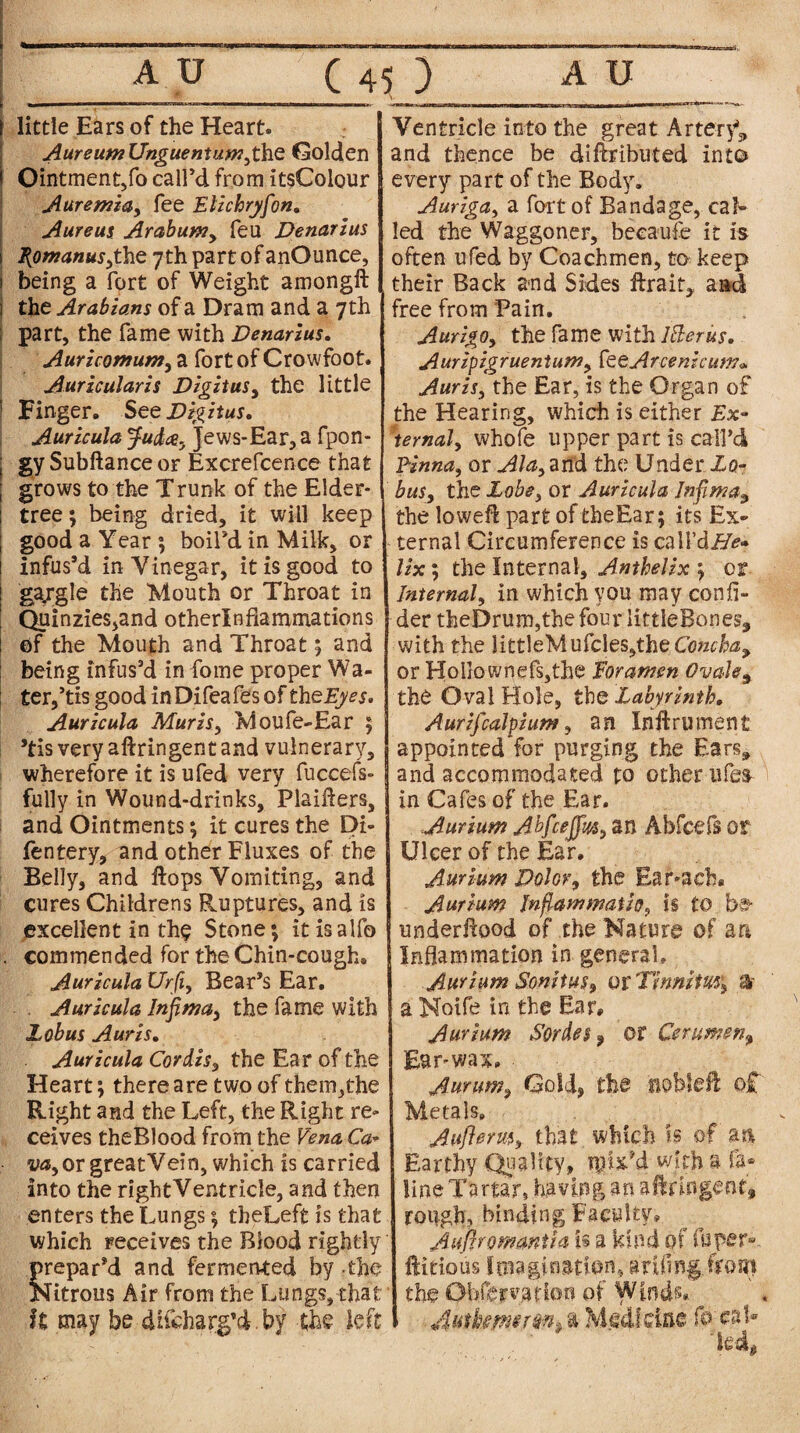 little Ears of the Heart. A ureumUnguentum,the Golden Ointment,fo call’d from itsColour A uremia, fee Elichryfon. Aureus Arabum, feu Denarius I(omanus,the 7th part of anOunce, being a fort of Weight amongft the Arabians of a Dram and a 7 th part, the fame with Denarius. Auricomum, a fort of Cro wfoot. Auricularis Digitus, the little Finger. See Digitus. Auricula Jud#. Jews-Ear, a fpon- gy Subftance or Excrefcence that grows to the Trunk of the Elder- tree ; being dried, it will keep good a Year ; boil’d in Milk, or infus’d in Vinegar, it is good to ggrgle the Mouth or Throat in Quinzies,and otherXnfiammations of the Mouth and Throat; and being infus’d in fome proper Wa¬ ter,’tis good inDifeafes of the Eyes. Auricula Mur is, Moufe-Ear 5 ’tis very aftringent and vulnerary, wherefore it is ufed very fuccefs- fully in Wound-drinks, PlaiAers, and Ointments; it cures the Di- fentery, and other Fluxes of the Belly, and flops Vomiting, and cures Childrens Ruptures, and is excellent in th§ Stone; itisalfo . commended for the Chin-cough. Auricula Urfi, Bear’s Ear. . Auricula Infima, the fame with Lob us Auris. Auricula Cordis, the Ear of the Heart; there are two of them,the Right and the Left, the Right re¬ ceives theRlood from the Vena Ca* w, or great Vein, which is carried into the right Ventricle, and then enters the Lungs; theLeft is that which receives the Blood rightly prepar’d and fermented by -the Nitrous Air from the Lungs, that ft may be difcharg’d. by the left Ventricle into the great Artery** and thence be diftributed inte> every part of the Body. Auriga, a fort of Bandage, cal¬ led the Waggoner, becaufe it is often ufed by Coachmen, to keep their Back and Sides ftrait, and free from Pain. Aurigo, the fame with ltterus. Auripig ruenium, fe eA r cent cum* Auris, the Ear, is the Organ of the Hearing, which is either Ex¬ ternal, whofe upper part is call’d Pinna, or Ala, and the Under Lo- bus, the Lobe, or Auricula Infima3 the loweft part of theEar; its Ex¬ ternal Circumference is call’dEfe* lix; the Internal, Anthelix ; or Internal, in which you may confl- der theDrum,the four UftleBones, with the littleMufcleSjtheCowi^ or Hollo wnefs,the Foramen Ovale9 the Oval Hole, the Labyrinth. Aurifcalpium, an Instrument appointed for purging the Ears* and accommodated to other ufes in Cafes of the Ear. Aurium Abfcejfas, an Abfcefs or Ulcer of the Ear. Aurium Dolor, the Ear-ach* Aurium Inflates math, is to be underflood of the Nature of an Inflammation in general. Aurium Sonitus, or Tinnitm\ Or a Noife in the Ear. Aurium Sordes9 or Cerumen^ Ear-wax. Aurum, Gold, the soblefl of Metals. Auflerm, that which is of an Earthy Quality, mix’d with a fa* line Tartar, having an aftringent, rough, binding Faculty. Auftrommtia is a kind of fuper* ftitious Imagination* arfling from the Observation of Winds. ^ Autkemtiin, a Medicine fe'cat* led.