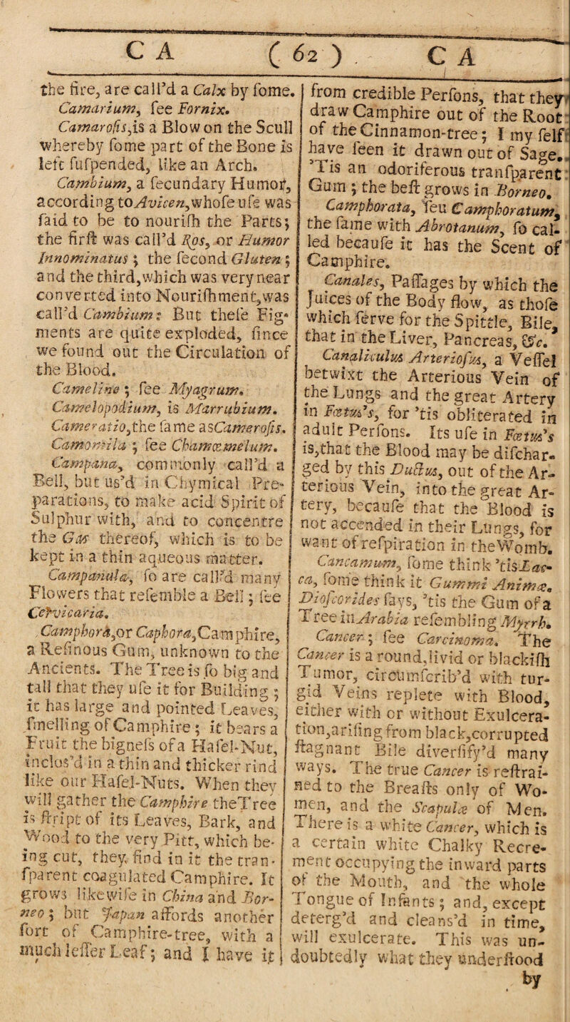 the fire, are call’d a Calx by Tome. (Samarium, fee Fornzx. Camarofisjs a Blow on the Scull whereby fome pa rt of the Bone is left fufpended, like an Arch. Cambium, a fecundary Humor, according toAviceny\vhote ufe was fa id to be to nourifh the Parts; the fir ft was call’d Fos, or Humor Innominatus ; the fecond Gluten.; and the third,which was very near converted into Nourifh men t, was call'd Cambium; But thefe Fig* ments are quite exploded, fmce we found out the Circulation of the Blood. Cameline ; fee Myagruw. Camelopodium, is Marrubium. Cameraiio,the fame asCamerojis. Camornila ; fee Chamcemelum. Campana, commonly call’d a Bell, but us’d in Chymical Pre¬ parations, to make add Spirit of Sulphur with, and to concentre the Gw thereof, which is to be kept in a thin aqueous matter. Campanula, fo are call’d many Flowers that referable a Bell; fee Cefvicaria. Campbora,or Caphdpa,Ca m phire, a Ref nous Gum, unknown to the Ancients. The Tree is fo big and tall that they ufe it for Building ; it has large and pointed Leaves, Fuelling of Camphire; it bears a Fruit the bignefs of a HafehNut, inclos’d in a thin and thicker rind like our HafeJ-Nuts. When they will gather the Camphire theTree is ftriptof its Leaves, Bark, and Wood to the very Pitt, which be¬ ing cut, they find in it the tram fparent coagulated Camphire. It grows like wile in China and Bor¬ neo ; bn t J-apan a ffbrds another fort of Camphire-tree, with a much leffer Leaf ; and l have it from credible Perfons, that they draw Camphire out of the Root of the Cinnamon-tree; I my felf haj/e leen it drawn out of Sage. ’Pis an odoriferous transparent Gum ; the beft grows in Borneo. Campborata, feu Camphor at um9 the fame with Abrotanum, fo cal¬ led becaufe it has the Scent of Camphire. T Canales, Paffages by which the }uices of the Body flow, as thofe which ferve for the Spittle, Bile, that in the Liver, Pancreas, £5V. Canaliculus Arteriofus, a Veflel betwixt the Arterious Vein of the Lungs and the great Artery in FcstuFs, for’ris obliterated in adult Perfons. Its ufe in Fcetm's is,that the Blood may be difchar- ged by this DulIus, out of the Ar¬ terious Vein, into the great Ar¬ tery, becaufe that the'Blood is not accended in their Lungs, for want of refpiration in the Womb. Cancamu-m, fome think ’tisX<«- ca, fome think it Gum mi Anim<%a Hiojcorid.es fays, Lis the Gum of a T ree in Arabia refembiing Myrrh• Lancer ; fee Carcinoma. The Cancer is a round,livid or blackifli 1 umor, circumfcrib’d with tur¬ gid Veins replete with Blood, either with or without Exulcera¬ tion, a fifing from black,corrupted flag nan t Bile diveriify’d many ways. X he true Cancer is reftrai- nedto the Breafts only of Wo- mui, and the Scapula of Men. i here is white Cancer, which is a certain white Chalky Recre¬ ment occupying the inward parts pl Mouth, and the whole I ongue of Infants; and, except deterg’d and cleans’d in time, will exulcerate. This was un¬ doubtedly what they underftood by