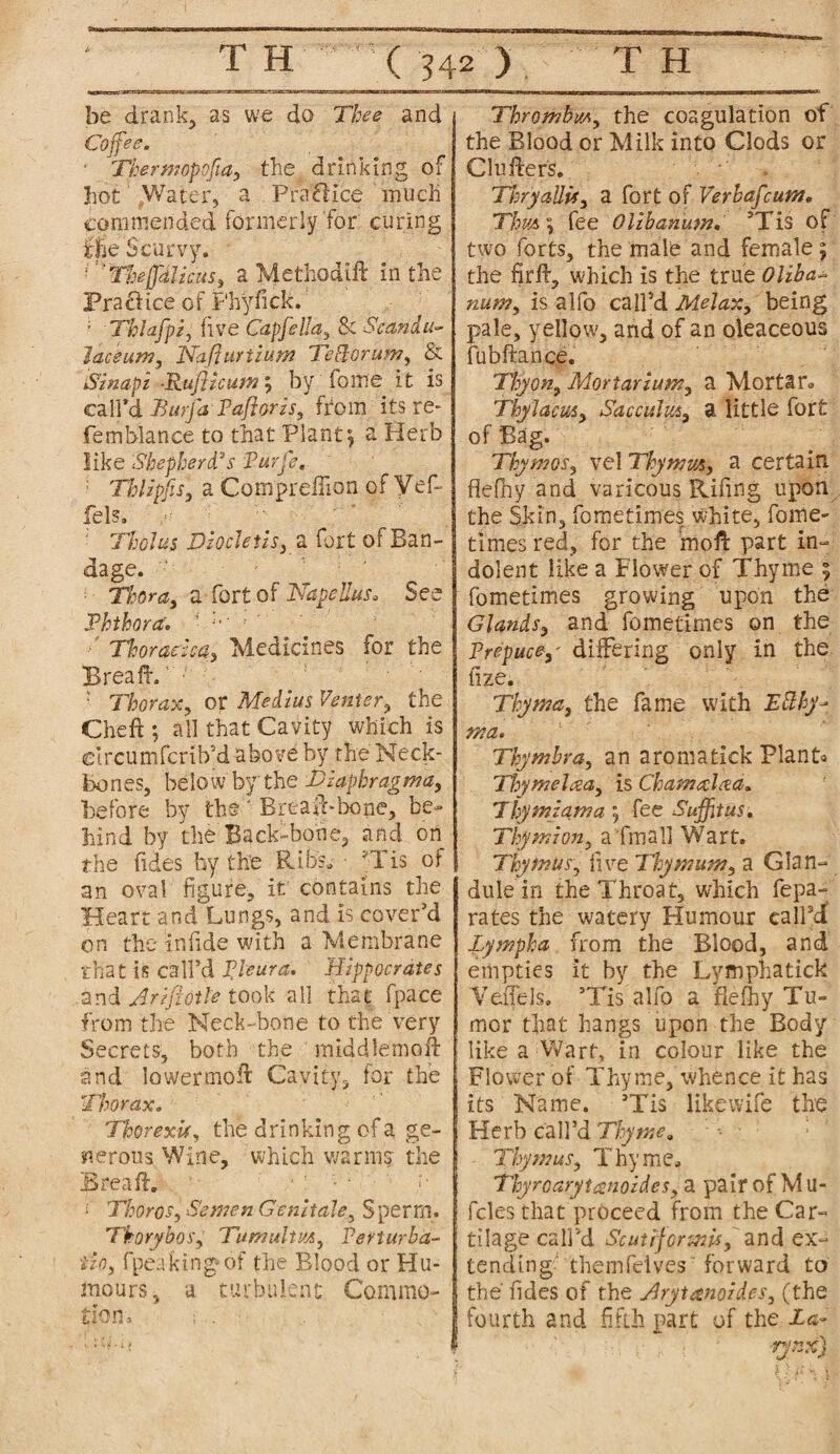 be drank, as we do Thee and Coffee. • Tkermopofta, the drinking of hot Water, a Practice much commended formerly for curing ifie Scurvy. • ''’Thejfdlicus, a Methodift in the Praftice of Phyfick. ; Thlafpi, five Capfella, & Scania- lace urn, ITaflmtium Teftorum, & iSinapi -Ruflicumt, by fome it is call'd j3urfa Paftoris, from its re* femblance to that Plants a Herb like Shepherd's Parfe, : Thlipfis, a Compreflion of yef¬ fete. Tholus Diode tis, a fort of Ban¬ dage. ‘ ■ • ’ Thor a, a - fort of Nape Hus, See JPhthora. ’ r Thoracica, Medicines for the Brea ft. - • Thorax, or Medius Venter, the Cheft ; all that Cavity which is elrcumfcrib’d above by the Neck- bones, below by the Diaphragma, before by the ‘ Bread-bone, be¬ hind by the Back-bone, and on the Tides by the Ribs. 'Tis of an oval figure, it contains the Heart and Lungs, and is cover’d on the in fide with a Membrane that is call’d Pleura. Hippocrates and Arift title took all that fpace from the Neck-bone to the very Secrets, both the middjemoft and lowermoft Cavity, for the Thorax. Thorexif, the drinking of a ge¬ nerous Wine, which warms the Bread. T Thoros, Semen Genitals, Sperm. Tkorybos, Tumultm, Perturha- tio, fpea king of the Blood or Hu¬ mours, a turbulent Commo¬ tion, ; . Thrornbm, the coagulation of the Blood or Milk into Clods or Clufters. Thryallp,r, a fort of Verbafcum, Tim; fee Olibanum. ’Tis of two forts, the male and female ; the firft, which is the true Oliba~ nun?, is alfo call’d Melax, being pale, yellow, and of an oleaceous fubftance. Thy on. Mortar ium, a Mortar. Thylacm, Sac culm, a little fort of Bag. Thymes, vel Thy mm, a certain fiefhy and varicous Rifing upon the Skin, fome times white, fome- times red, for the moft part in- dolent like a Flower of Thyme ; fometimes growing upon the Glands, and fometimes on the Prepucediffering only in the fize. Thyme, the fame with Ettby- ma. Thymbra, an aroma tick Plant® Thymelcea, is Chamcdaa. Thymiama j fee Suffitus. Thy mi on, a final] Wart. Thymus, five They mum, a Glan¬ dule'in the Throat, which fepa- rates the watery Humour call’d Zympha from the Blood, and empties it by the Lymphatick Vdfels. ’Tis alfo a fiefhy Tu¬ mor that hangs upon the Body like a Wart, in colour like the Flower of Thyme, whence it has its Name. ’Tis like wife the Herb call’d Thyme8 ; -• Thymus, Thyme. Thyroarytanoides, a pair of Mu- fcles that proceed from the Car¬ tilage call’d Scut if or mis, and ex¬ tending themfeives' forward to the' hides of the Arytanoides, (the fourth and fifth part of the La- . i vynx)