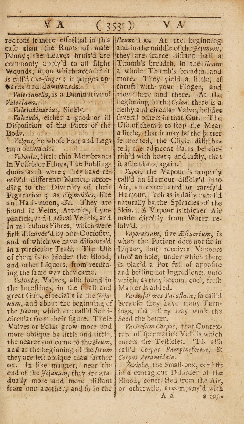 - reckons it more efFeftual in' this cafe than the Roots of male Peony ; the. Leaves bruis’d are commonly apply’d to all flight Wounds* uppn which account it is call’d Cut-finger ; it purges up¬ wards and downwards. VaUrianella, is a Diminutive of Valeriana. Vahtudinarius, Sickly. Valetudo, either a good or ill Difpofition of the Parts of the Body- Valgus, he whofe Feet and Legs turn outwards. . Valvule, little thin Membranes in Veffels or Fibres, like Folding- doors as it were; they have re¬ ceiv’d difFerenti Names, accor¬ ding to the Diverfity of their Figuration ; as Sigmoides, like an Half-moon, 15 c. They are found in Veins, Arteries, Lym- phatick, and Lafteal Veffels, and in mufculous Fibres, which were firft difcover’d by our Curiofitv, and of which we have difcours’d in a particular Traft. The Ufe of them is to hinder the Blood, and other Liquors, from return¬ ing the fame way they came. Valvule, Valves, alfo found in the fnteffines, in the fmall and great Guts, efpeeially in the Jeju- nutMyZnd about the beginning of the Ileum, which are call’d Semi- circularfrom their figure. Thefe Valves or Folds srow more and i. more oblique by little and little, the nearer you come to the Ileum, and at the beginning of the Jleum they are iefs oblique than farther on. fn like manner, near the end of the Jejunum, they are gra¬ dually more and more diftant from one another/ and fo in the 1Ileum too. At the, beginning, and in the middle of the Jejunum, they are fcarce diftant half a Thumb’s breadth, in the Ileum a whole Thumb’s breadth and more. They yield a little, if thruft with' your Finger, and move here and there. At the. beginning of the Colon there is a fleihy and circular Valve, he tides fevera.1 others in that Gut. The TJfe of them is to flop the Meat a little, that it may be the better: fermented, the Chyle diffribu- ted, the adjacent Parts.be che- rifh’d with heat; and laftly, that it afcend hot again. Vapor, the Vapour is properly call’d an Humour diffolv’d into Air, an extenuated or rarefy’d Humour, fuch as is daily exhal’d naturally by. the Spiracles of the Skin. A Vapour is thicker Air made direftly from Water re- foiv’d. Vaporarium, five JEftuarium, is when the Patient does not fit in Liquor, but receives Vapours thro* an hole, under which there is plac’d a Pot full of appolite and boiling hot Ingredients, unto which, as they become cool, frefh Matter is added. Variciformes Par aflat re, fo call’d becaufe they have many Turn¬ ings, that they may work the Seed the better. Varieofum Corpus, tha t Co n tex¬ ture of fperraatick Veffels which enters the Tefticles. 'Tis alfo call’d Corpus Pampiniform?, & Corpus Pyramidale* Varioire,, the. Small-pox, con lifts In a contagious Dlforder of the Blood* con crafted from the Air, or other wife, accompany’d with A a a cep*