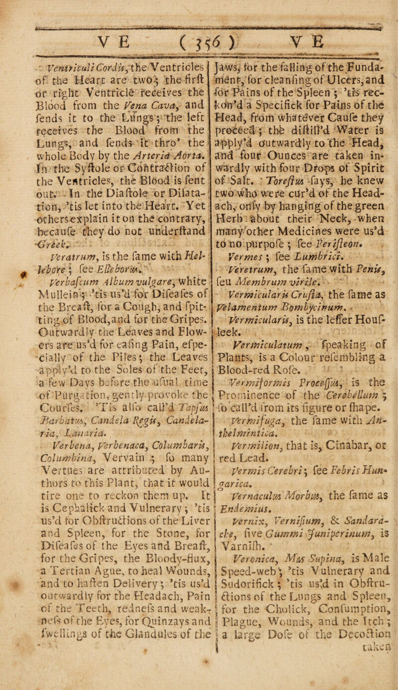 ' Vemrituli Cordis,theVentricles of the Heart are tvvo:; the fir ft or right Ventricle receives the Blood from the Vena Cava, and fends it to the Lungs; the left receives the Blood from the Lungs, and (ends it thro* the- whole Body by the Arterid Aorta. In the Syftole or Contraction of the Ventricles, the Blood is fent out. Hu theDiaftole or Dilata¬ tion, ’tis let into the Heart. Yet othersexplain iron the contrary, hecaufe they do not underftand Gre eh.. Ve rat rum, is the fame with Hel¬ lebore ; fee EReborn*. Verbafcum Album vulgare, White Mullein; ’tis us’d for Difeafes of the Brea ft, for a Cough, and fpit- ting of Blood,and for the Gripes. Outwardly the Leaves and Flow¬ ers are us’d for eaiing Pain, efpe- cially of the Piles; the Leaves apph/’d to the Soles of the Feet, a few Days before the ufual time of Purgation, gently provoke the Courfes. 5Tis alfo call’d Tap fits 'Barbatm. Candela Regis, Candela- Jaws^ for the falling of the Funda¬ ment, for cleanfmg of Ulcers,and for Pains of the Spleen ; ’tis rec¬ kon’d a Specifick for Pains of.the Head, from whatever Caufe they proceed ; the diftiB’d Water i9 apply’d outwardly to the Head, and four Ounces are taken in¬ wardly with four Drops of Spirit of Salt. ; Toreftm fays, he knew two whowere cur'd of the Head- ach, oni-y by hanging of the green Herb about their Neck, when many other Medicines were us’d to no.purpofe ; fee Perifleon, Vermes ; fee Lumbrici. Veretrum, the fame with Penis, feu Membrum virile. Vermicular if Crufia, the fame as Velamentun? Bombycinum. Vermicular is, is the leffer Houfc leek. Vermiculatum, fpeaking of Plants, is a Colour refembling a Blood-red Rofe. Vermiformis ProeejjM, is the Prominence of the Cerebellum ; ib call’d from its figure or fhape. Vermifuga, the fame with An- ria, L.auaria, thelmintica. Verbena, Verbenaca, Columbaris, jj Vermilion, that is, Cinabar, Ot Columbina, Vervain ; fo many ;] red Lead. Vertues are attributed by Au- j Vermis Cerebri; fee Febris Hun* thors to this Plant, that it would jgarica. tire one to reckon them up. It j Vernaculm Morbus, the fame as is Cephalick and Vulnerary ; ’tis 5 Endemius. us’d for ObftnfoHons of the Liver Vernix, Vernifium, & Sandara- and Spleen, for the Stone, for 1 che, {\ve Gummi juniperinum, is Difeafes of the Eyes and Bread, j Varnilh. ‘ for the Gripes, the Bloody-fiux, j Veronica, Mss Supina, is Male a Tertian Ague, to heal Wounds, j Speed-web \ ’tis Vulnerary and and tohaften Delivery ; ’tis us’d | Sudorifick ; ’tis us’d in Obftru- outwardly for the Headach, Pain \ ftions of the Lungs and Spleen, of the Teeth, rednefs and weak- \ for the Cholick, Confumption, nefsofthe Byes, for Quinzays and J Plague, Wounds, and the Itch; iwellings of the Glandules of the \ a large Dofe of the Decoction  ■ ■■■/ „ \  take a