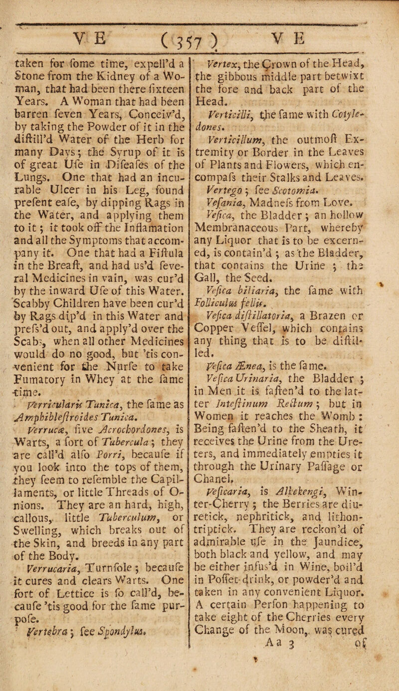 taken for Tome time, expell’d a Stone from the Kidney of a Wo¬ Years. A Woman that had been barren feven Years, Conceiv’d, by taking the Powder of it in the diftill’d Water of the Herb for many Days; the Syrup of it is of great Ufe in Difeafes of the Lungs. One that had an incu¬ rable Ulcer in his Leg, found prefent eafe, by dipping Rags in the Water, and applying them to it; it took off the Inflamation and all the Symptoms that accom¬ pany it. One that had a Fittuia in the Breaft, and had us’d feve- ral Medicines in vain, was cur’d by the inward Ufe of this Water. Scabby Children have been cur’d by Rags dip’d in this Water and prefs’d out, and apply’d over the Scabs, when all other Medicines would do no good, but ’tis con¬ venient for the Nurfe to take Fumatory in Whey at the fame -time. j/erricularts Tunica, the fame as Arnphiblefiroides Tunica. Verruca, five Acrocbordones, is f Warts, a fort of Tubercula; they are call’d alfo Forri, becaufe if you look into the tops of them, .they feem to refemble the Capil- iaments, or little Threads of Q- nions. They are an hard, high, callous,- little Tuberculutn, or Swelling, which breaks out of the Skin, and breeds in any part of the Body. Verrucaria, Turn foie ; becaufe it cures and clears Warts. One fort of Lettice is fo call’d, be¬ caufe ’tis good for the fame pur- pofe. ; Ycrtebra; fee Spondjhs, Vertex, the Qrown of the Head, the gibbous middle part betwixt Head. VerticiUi, the fame with Cotyle- dones. Verticillurn, the outiriofl Ex¬ tremity or Border in the Leaves of Plants and Flowers, which en- compafs their Stalks and Leaves. Vertego ; fee Scotomia. Vefania, Madnefs from Love. Vefica, the Bladder ; an hollow Membranaceous Part, whereby any Liquor that is to be excern- ed, is contain’d ; as 'the Bladder, that contains the Urine ; the Gall, the Seed. Vefica biliaria, the fame with Folliculm fell is. Vefica diflillatoria, a Brazen or Copper Veffel, which contains any thing that is to be diftil* led. pefiea JEnea, is the fame. Vefica Urinaria, the Bladder ; in Men it is fatten’d to the lat¬ ter Intcftinum Rettum; but in Women it reaches the Womb : Being fatten’d to the Sheath, it receives the Urine from the Ure¬ ters, and immediately empties it through the Urinary Paffage or Chanel, yeficaria, is Alhlengi, Win¬ ter-Cherry ; the Berries are diu- retick, pephritick, and lithon- triptick. They are reckon’d of admirable life in the; Jaundice, both black and yellow, and may be either infus’d in Wine, boil’d in Poffet-drink, or powder’d and taken in any convenient Liquor. A certain Perfon happening to take eight of the Cherries every Change of the Moon, was cured