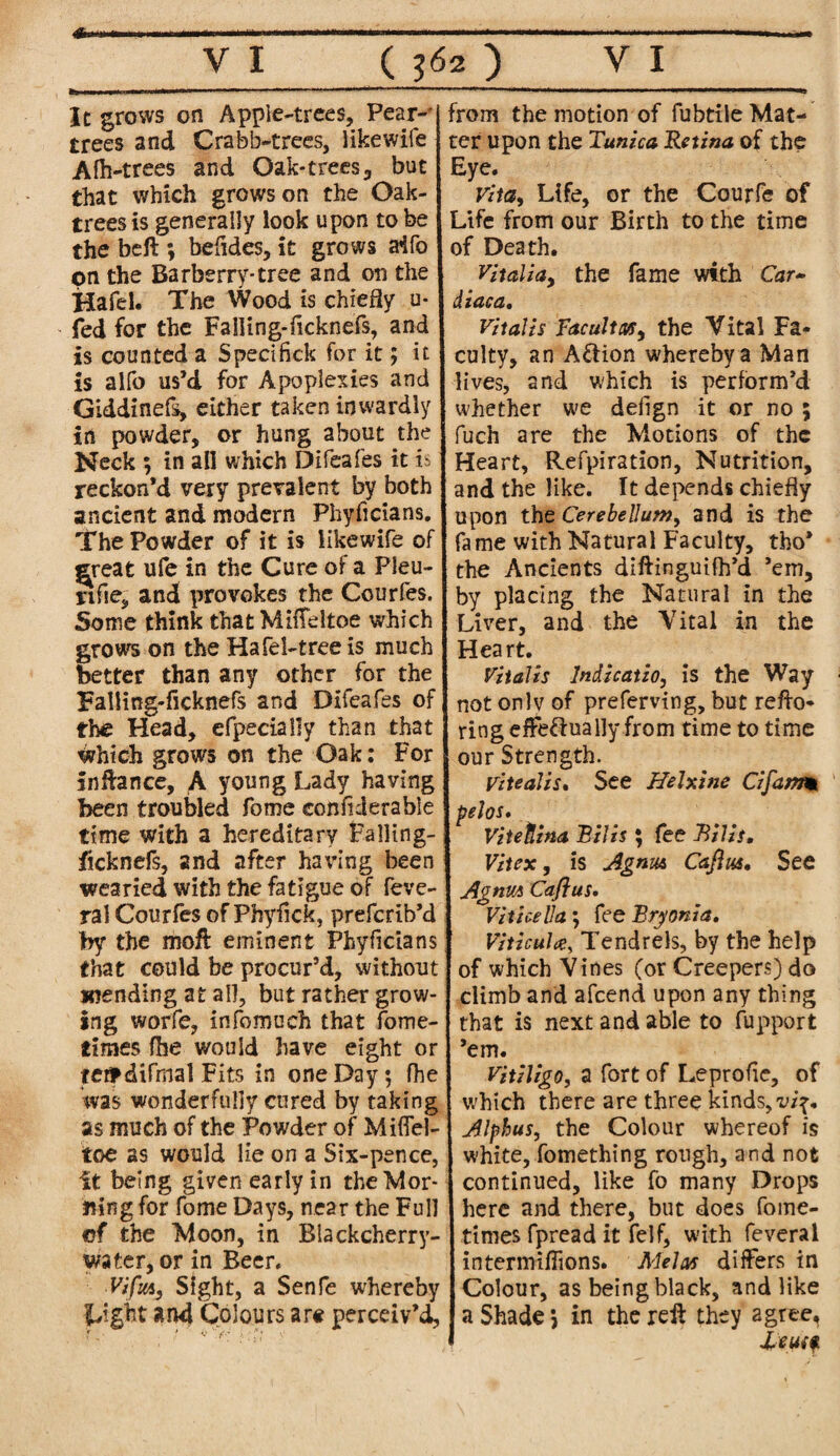 4k ( 362 ) VI V I It grows on Apple-trees, Pear- | trees and Crabb-trees, likewile A fh-trees and Oak-trees, but that which grows on the Oak- trees is generally look upon to be the beft ; befides, it grows aifo on the Barberry-tree and on the Hafel. The Wood is chiefly u- fed for the Falling-ficknefs, and is counted a Spedfick for it; it is alfo us’d for Apoplexies and Giddinefs, either taken inwardly in powder, or hung about the Neck ; in all which Difeafes it is reckon’d very prevalent by both ancient and modern Fhyficians. The Powder of it is likewife of great ufe in the Cure of a Pleu- sifie, and provokes the Courfes. Some think that Miffeltoe which grows on the Hafel-tree is much better than any other for the Falling-ficknefs and Difeafes of the Head, efpecially than that Which grows on the Oak: For snftance, A young Lady having been troubled fome confiderabie time with a hereditary Falling- ficknefs, and after having been wearied with the fatigue of feve- ral Courfes of Phyfick, prefcrib’d by the moft eminent Phyficians that could be procur’d, without wending at all, but rather grow¬ ing worfe, infomuch that fome- tlmes (he would have eight or ter*difrnal Fits in one Day; fhe was wonderfully cured by taking as much of the Powder of Miflel- toe as would lie on a Six-pence, it being given early in theMor- Jiing for fome Days, near the Full of the Moon, in Blackcherry- water, or in Beer, ■VtfuAj Sight, a Senfe whereby and Colours are perceiv’d, from the motion of fubtileMat- ter upon the Tunica Retina of the Eye. vita, Life, or the Courfc of Life from our Birth to the time of Death. Vitaliay the fame with Car- Mac a, vitalis Facultyy the Vital Fa¬ culty, an Action whereby a Man lives, and which is perform’d whether we deiign it or no 5 fuch are the Motions of the Heart, Refpiration, Nutrition, and the like. It depends chiefly upon the Cerebellum, and is the fame with Natural Faculty, tho* the Ancients diftingutfh’d ’em, by placing the Natural in the Liver, and the Vital in the Heart. Vitalis Indication is the Way not onlv of preferving, but refto- ring efFe&ually from time to time our Strength. Vitealis. See Helxine Cifamm pelos. Vitetlina Rills; fee Rills, Vitex, is Agnu& Caflus, See Agnm Caflus. Vitice 11 a; fee Bryonia. Viticultf, Tendrels, by the help of which Vines (or Creepers) do climb and afcend upon any thing that is next and able to fupport ’em. Vitiligo, a fort of Leprofie, of which there are three kinds, vi\, Alphus, the Colour whereof is white, fomething rough, and not continued, like fo many Drops here and there, but does fome- times fpread it felf, with feveral intermifiions. Melos differs in Colour, as being black, and like a Shade *, in the reft they agree,