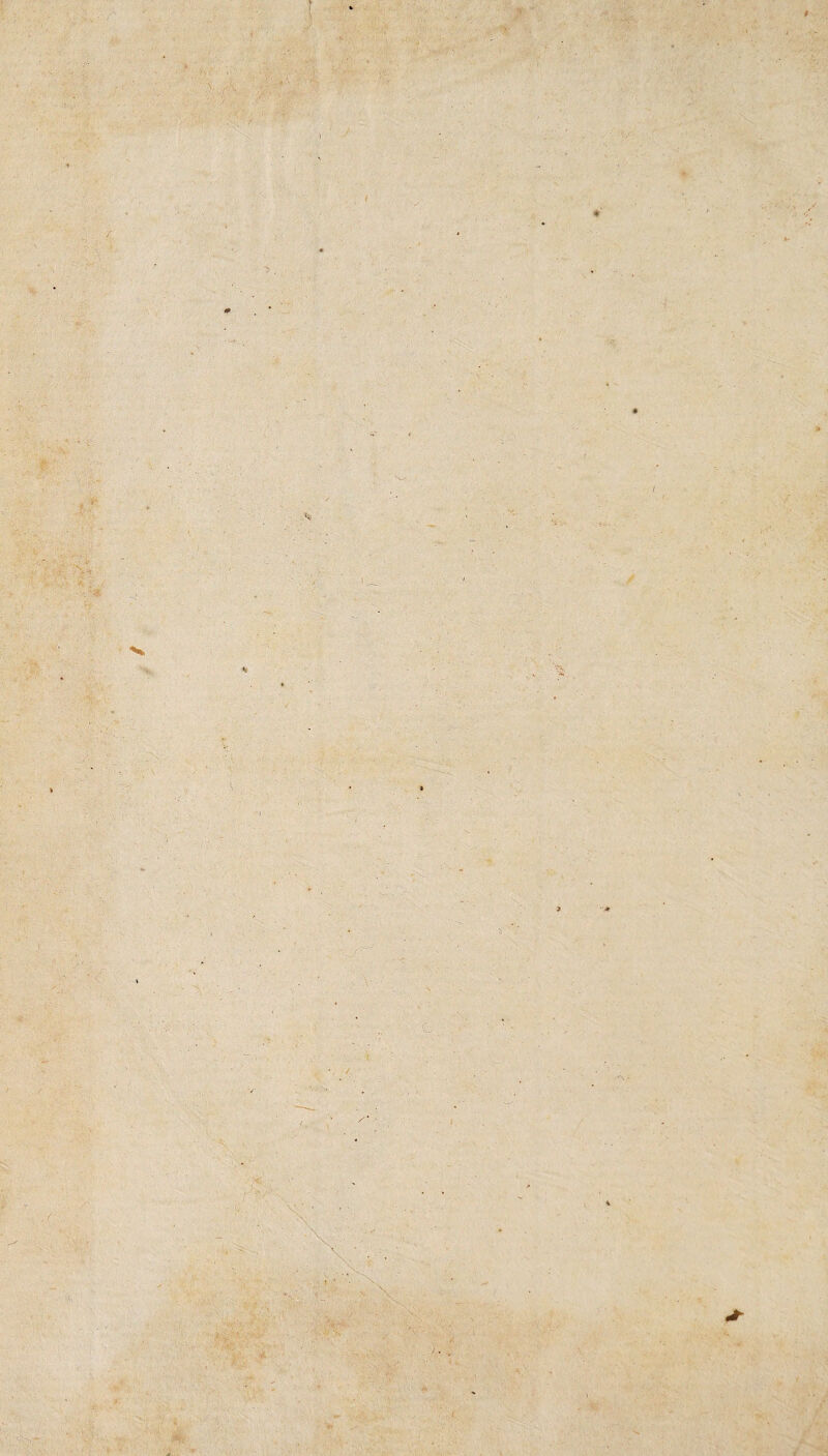 ' A vA Y - * k .. ’ • *v ■ . % > £+ ■ ' ; ;V N* t L ( . ' .T> - : ,i - ■ ■'WV v ■ . > - - ! * ^ • ' i ' V