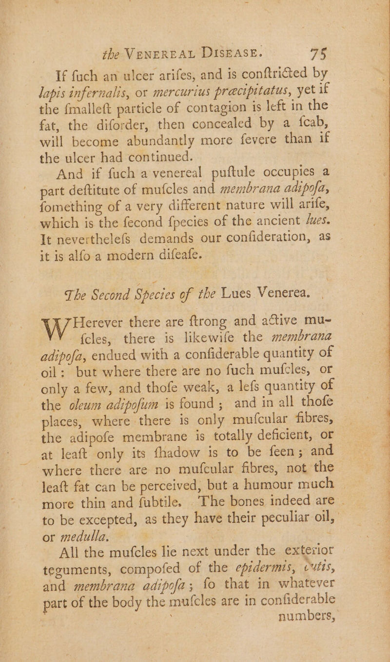 If fuch an ulcer arifes, and is conftri&amp;ed by lapis infernalis, or mercurius pracipitatus, yet if the fmalleft particle of contagion is left in the fat, the diforder, then concealed by a ícab, will become abundantly more fevere than if the ulcer had continued. | And if fuch a venereal puftule occupies a part deftitute of mufcles and membrana adipofa, fomething of a very different nature will arife, which is the fecond fpecies of the ancient /ues. It neverthelefs demands our confideration, as it is alfo a modern difeafe. The Second Species of tbe Lues Venerea. Herever there are ftrong and active mu- Y (cles, there is likewife the membrana adipofa, endued with a confiderable quantity of oil: but where there are no fuch mufcles, or only a few, and thofe weak, a lefs quantity of the oleum adipofum is found ; and in all thofe places, where there is only mufcular fibres, the adipofe membrane is totally deficient, or at leaft only its fhadow is to be feen; and where there are no mufcular fibres, not the ]eaft fat can be perceived, but a humour much . more thin and fubtile. The bones indeed are . to be excepted, as they have their peculiar oil, or medulla. —. dá - All the mufcles lie next under the exterior teguments, compofed of the epidermis, Cutis, and membrana adipofa; fo that in whatever part of the body the mufcles are in confiderable : numbers,