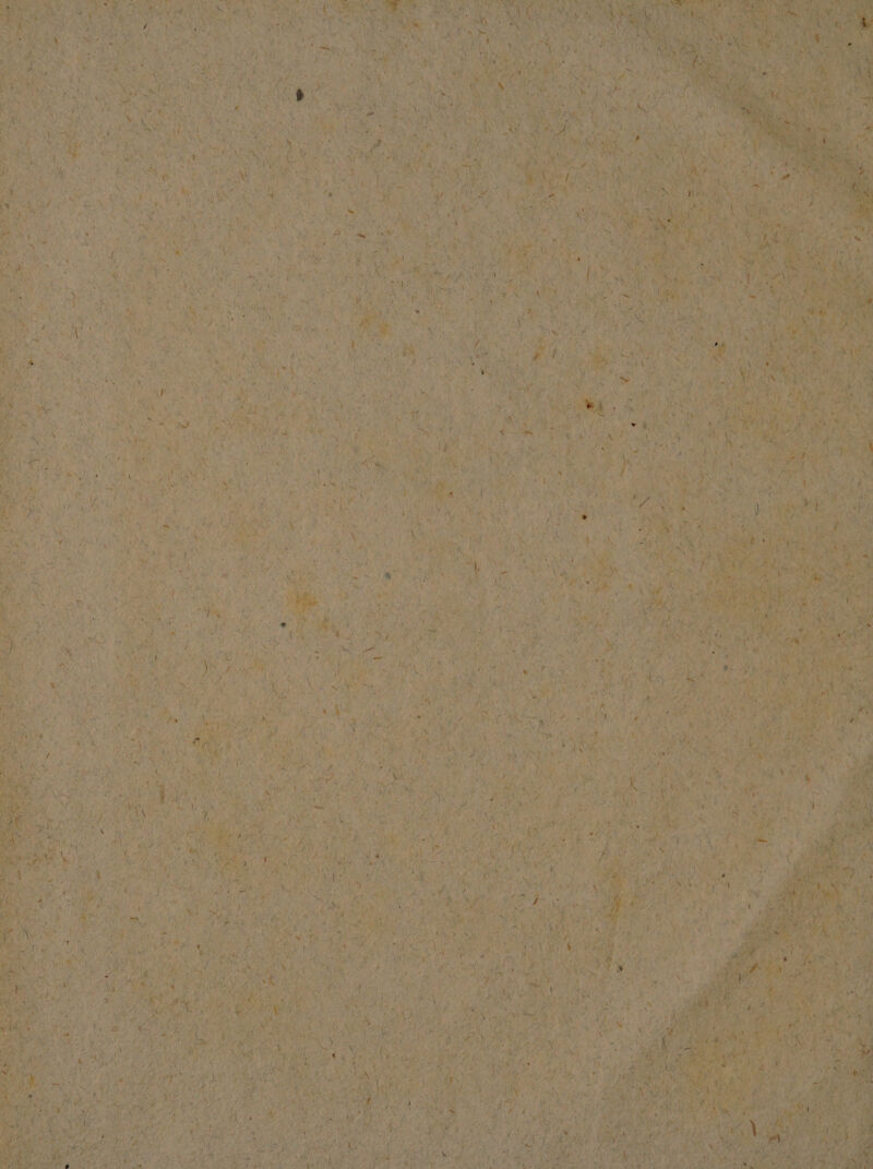 , CLAY 5 ^ Dor: (op Nott NA she 7 E eo $! M NR Au. y ad IAN s May ies n5 NOCT n NNUS G2 wit ] ) A LO 1