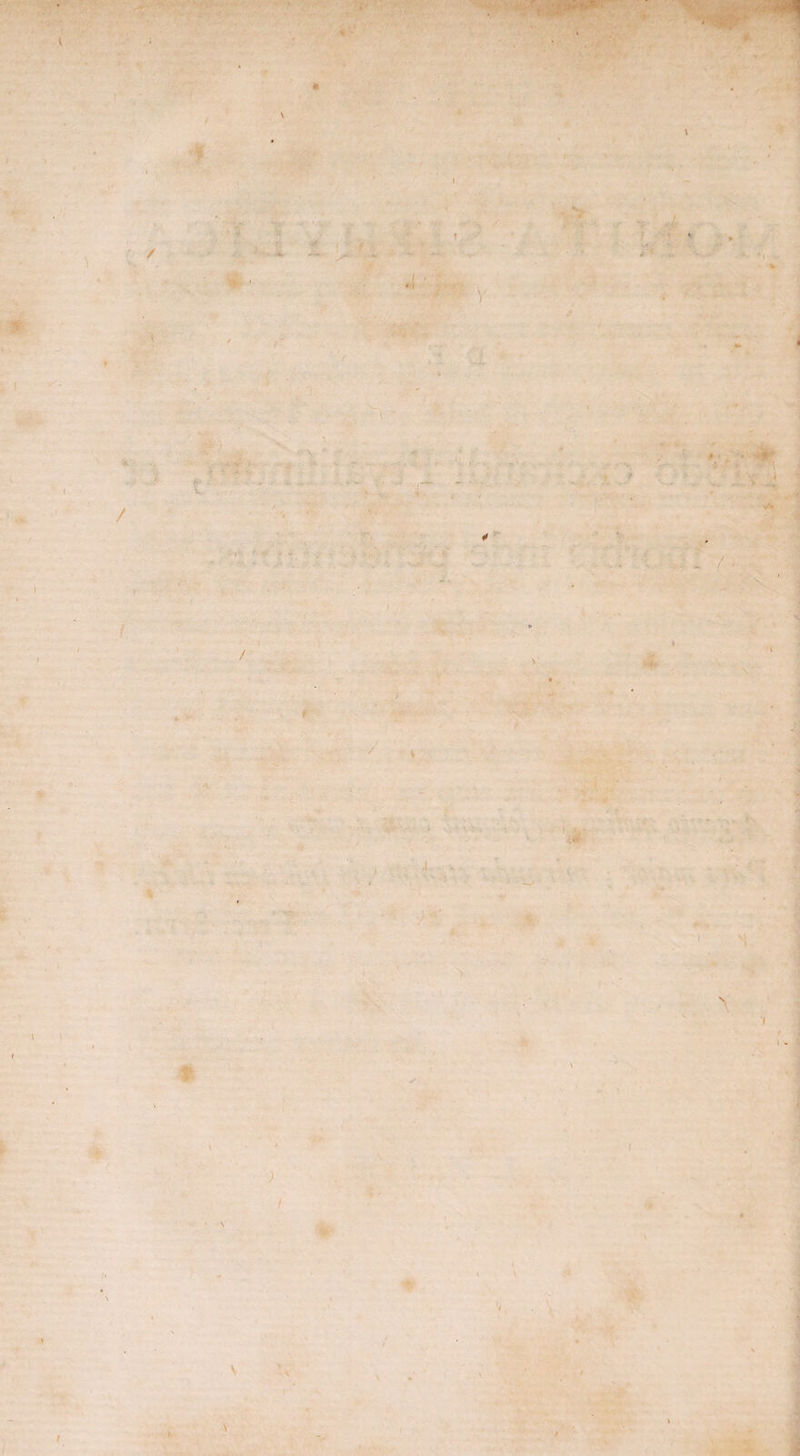 v ■ r . < f - I \ i < % f / i • ♦ - / v \