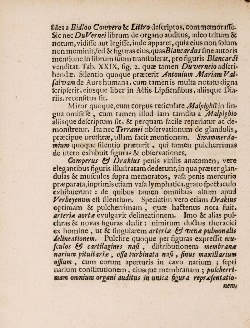 fatesa Bidho Compero St tittro defcriptos, comnnemorafTe. Sic nec DuVernei librum de organo auditus, adeo tritum St notum, vidiffe aut legifiTerinde apparet, quia eius non folum non meminit,fed St figuras eius.quasBlancardus fine autoris mentione in libru m Tuum transtulerat, pro figuris Blancardi venditat. Tab. XXIX, fig. 2. quae tamen Duverneio adfcri- bendae. Silentio quoque praeterit Antonium Alariam Val- falvamde Aure humana, cum tamen is multa notatu digna fcriplerit.eiusque liber in A&is Lipfienfibus, aliisque Dia¬ riis, recensitus fit. Miror quoque,eum corpus reticulare Malpigbnm lin¬ gua omififle , cum tamen illud iam tamdiu a Alalpighio aliisquedefcriptum fit, St perquam facile repedatur ac de- monftretur. Ita nec Terraneiobfervationum de glandulis, praecipue urethrae, ullam facit mentionem, Smammerda- mium quoque filentio praeterit, qui tamen pulcherrimas de utero exhibuit figuras St obfervationes. Comperus & Drakius penis virilis anatomen, vere elegantibus figuris illuftratam dederunt,in qua praeter glan¬ dulas St mufculos fupra memoratos, vala penis mercurio prae paratajnprimis etiam vafa lymphatica,grato fpe&aculo exhibuerunt : de quibus tamen omnibus altum apud Verbejenum eft filentium. Speciatim vero etiam Drakius optimam St pulcherrimam , quae haftenus nota fuit, arteria aorta evulgavit delineationem. Imo St alias pul¬ chras & novas figuras dedit: nimirum du&us thoracici ex homine , ut St fingularem arteria vena pulmonalis delineationem. Pulchre quoque per figuras expreffit mu¬ fculos & cartilagines naji , distributionem membrana narium pituitaria , offa turbinata nafi , finus maxillarium ojjium , cum eorum aperturis in cavo narium ; fepti narium conditutionem, eiusque membranam ; pulcherri¬ mam omnium organi auditus in unica figura reprafentatm- nems