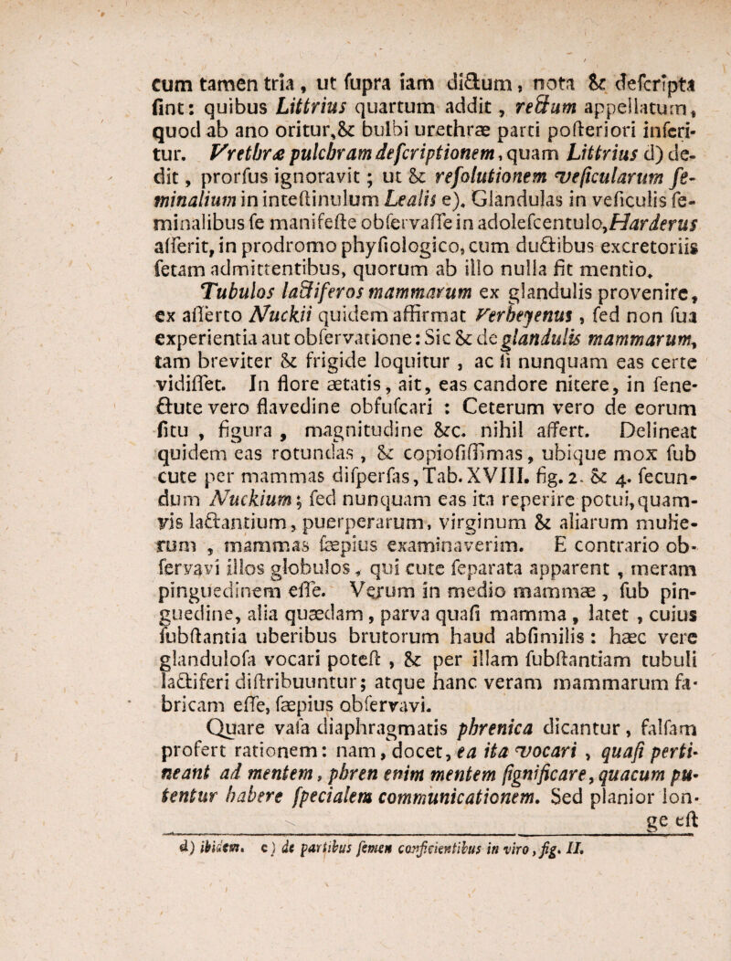 ( / ' x - -* . - / cum tamen tria, ut fupra iam difitum, nota Jk defcripta fint: quibus Littrius quartum addit, retium appellatum, quod ab ano oritur,& bulbi urethrae parti pofteriori infcri- tur. Vretbra pulchramdefcriptionem, quam Littrius d) de¬ dit , prorfus ignoravit; ut & rejolutionem uejicularum fe¬ minalium in inteftinulum Lealis e). Glandulas in veficulis fe¬ minalibus fe manifefte obfervafiein adolefcentulo,/-/4rier«f afferit, in prodromo phyfiologico, cum du&ibus excretoriis fetam admittentibus, quorum ab illo nulla fit mentio. Tubulos ladiferosmammarum ex glandulis provenire, ex afferto Nuckii quidem affirmat Verheyenus , fed non fua experientia aut obfervacione: Sic Sc de glandulis mammarum, tam breviter & frigide loquitur , ac ii nunquam eas certe vidiffet. In flore aetatis, ait, eas candore nitere, in fene* Sute vero flavedine obfufcari : Ceterum vero de eorum litu , figura , magnitudine &c. nihil affert. Delineat quidem eas rotundas , & copiofiffimas, ubique mox fub cute per mammas difperfas,Tab. XVIII. fig. z- & 4. fecun¬ dum Nuckium; fed nunquam eas ita reperire potui,quam¬ vis laSantium, puerperarum, virginum Si aliarum mulie¬ rum , mammas faepius examinaverim. E contrario ob* fervavi illos globulos, qui cute feparata apparent , meram pinguedinem effe. Verum in medio mammae , fub pin¬ guedine, alia quaedam, parva qua fi mamma, latet, cuius fubftantia uberibus brutorum haud abfimilis: haec vere glandulofa vocari potefc , & per illam fubftantiam tubuli laCtiferi diftribuuntur; atque hanc veram mammarum fa¬ bricam effe, faepius obfervavi. Quare vafa diaphragmatis phrenica dicantur, falfam profert rationem: nam, docet, ea ita vocari, quafi perti¬ neant ad mentem, pbren enim mentem jignificare}quacum pu¬ tentur habere [pedalem communicationem. Sed planior lon¬ ge eft d) ibidem, c) de partibus femen conficientibus in viro, fig, II,